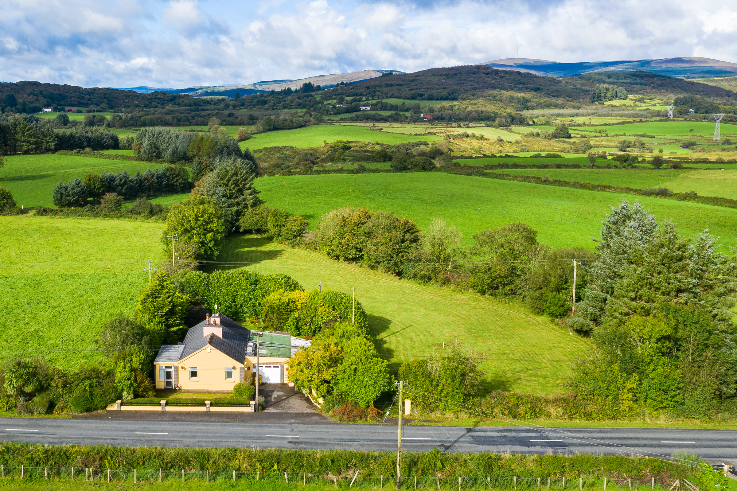 Photo: Niamh Whitty/www.pictureitsold.ie