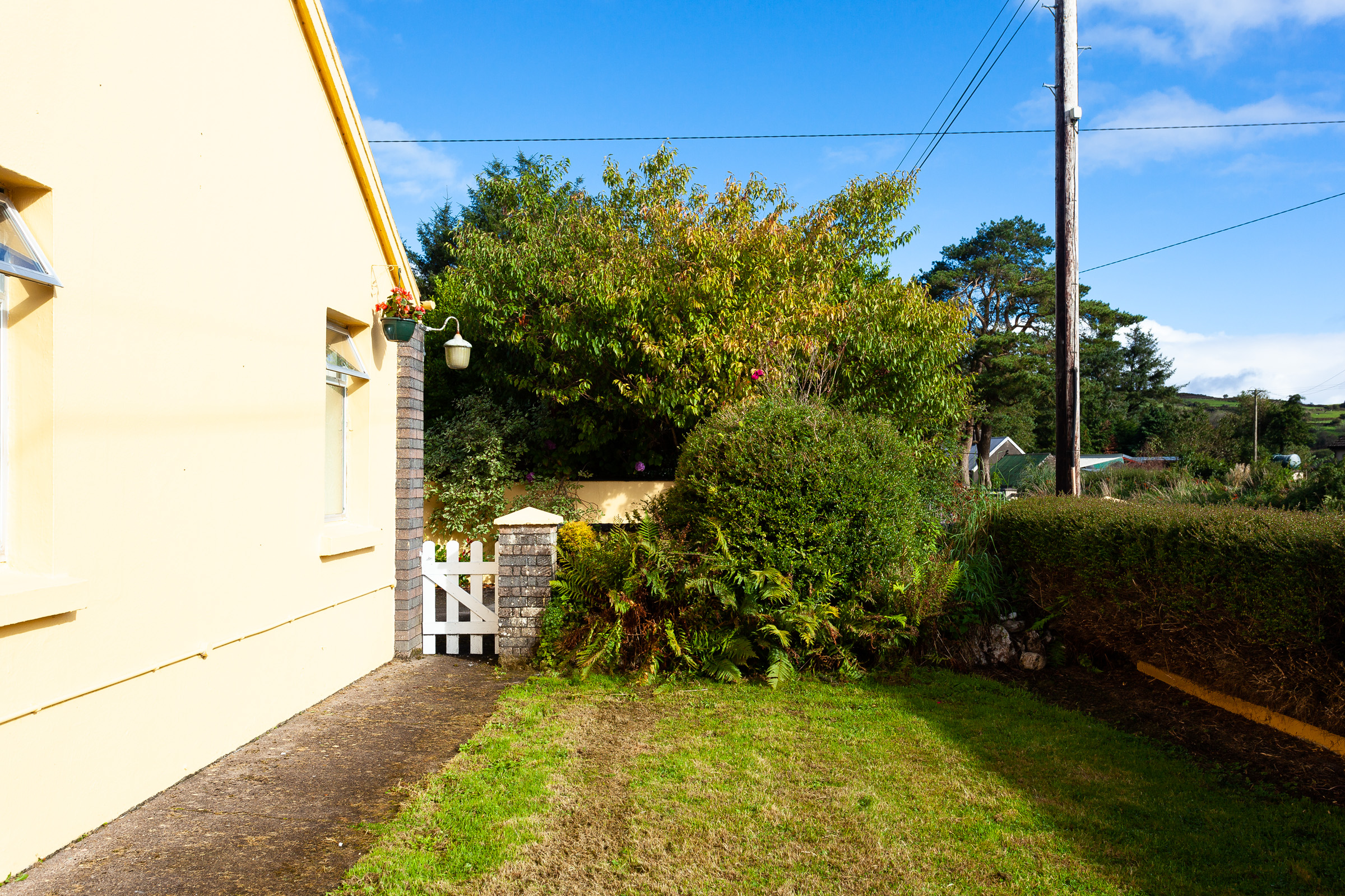 Photo: Niamh Whitty/www.pictureitsold.ie