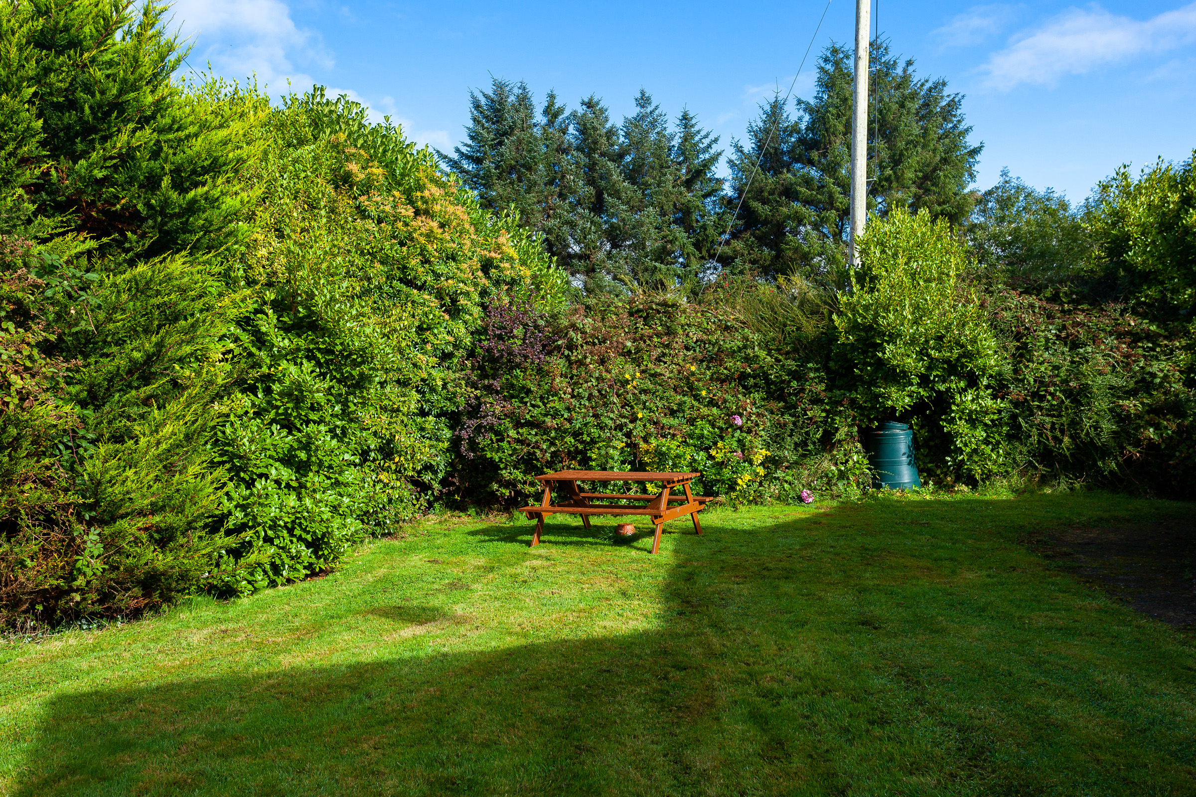 Photo: Niamh Whitty/www.pictureitsold.ie