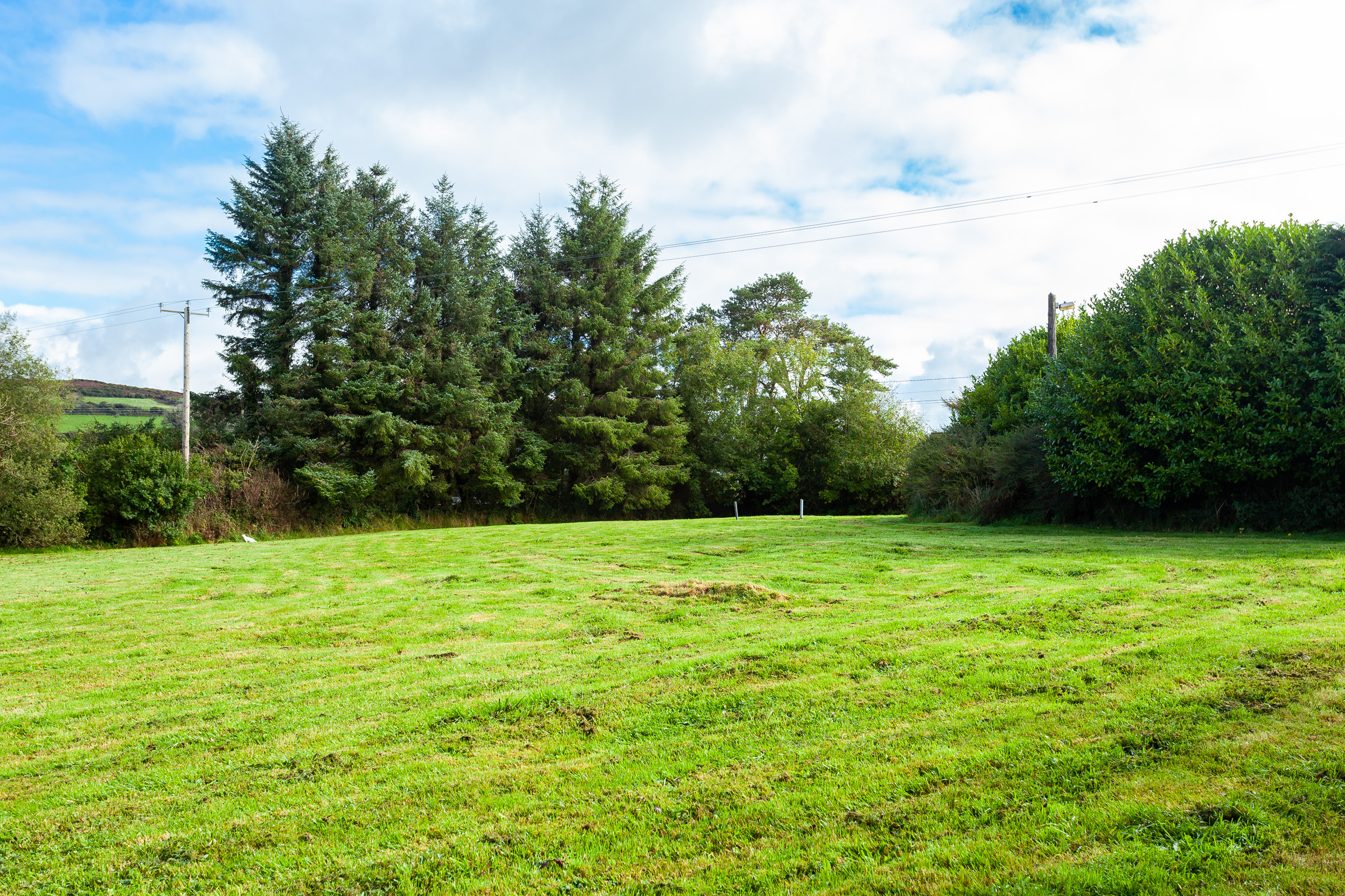 Photo: Niamh Whitty/www.pictureitsold.ie