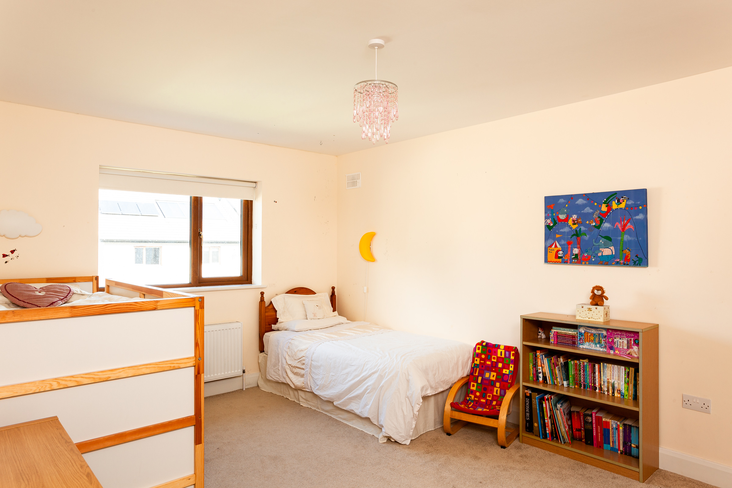 Photo: Niamh Whitty/www.pictureitsold.ie
