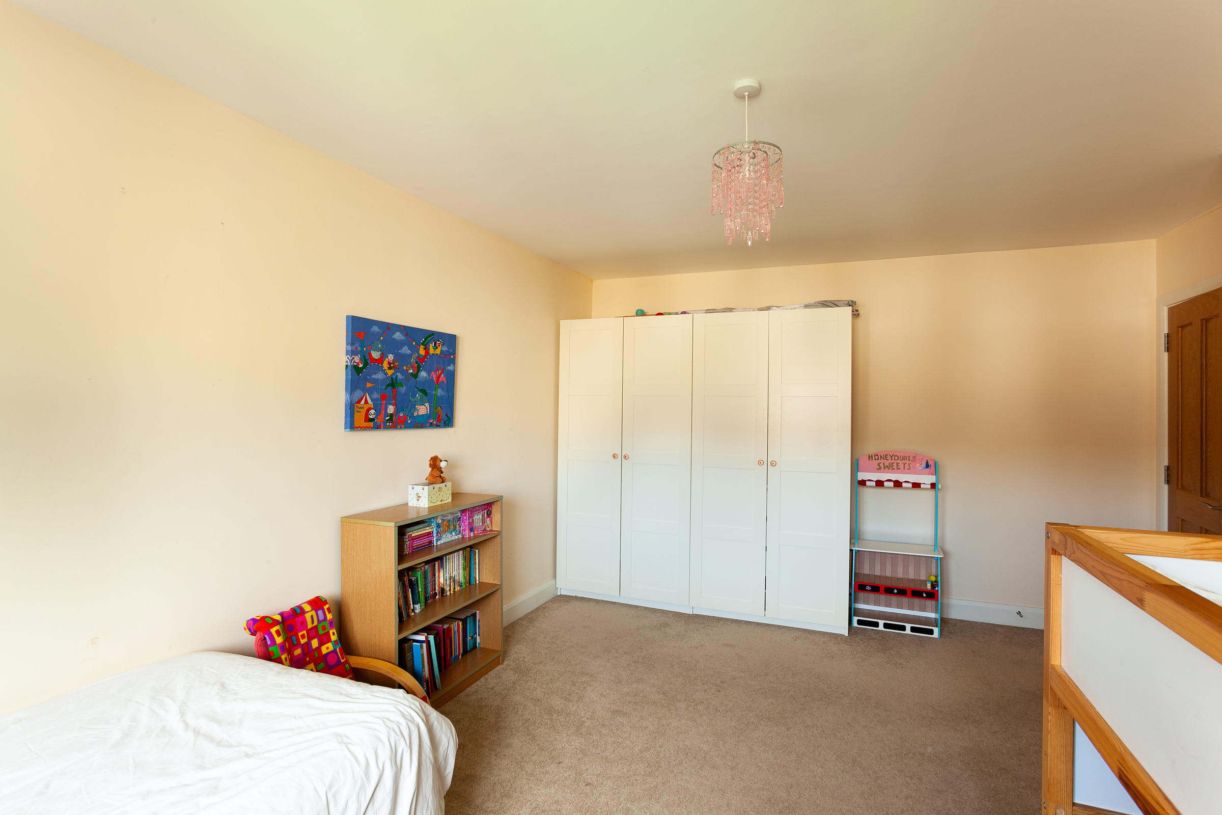 Photo: Niamh Whitty/www.pictureitsold.ie