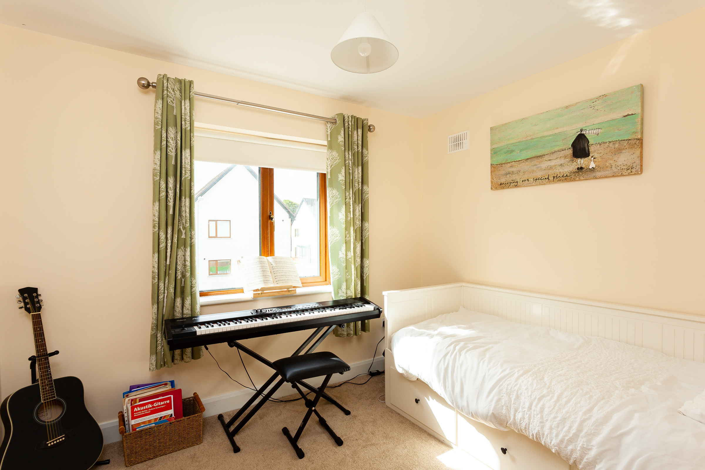 Photo: Niamh Whitty/www.pictureitsold.ie