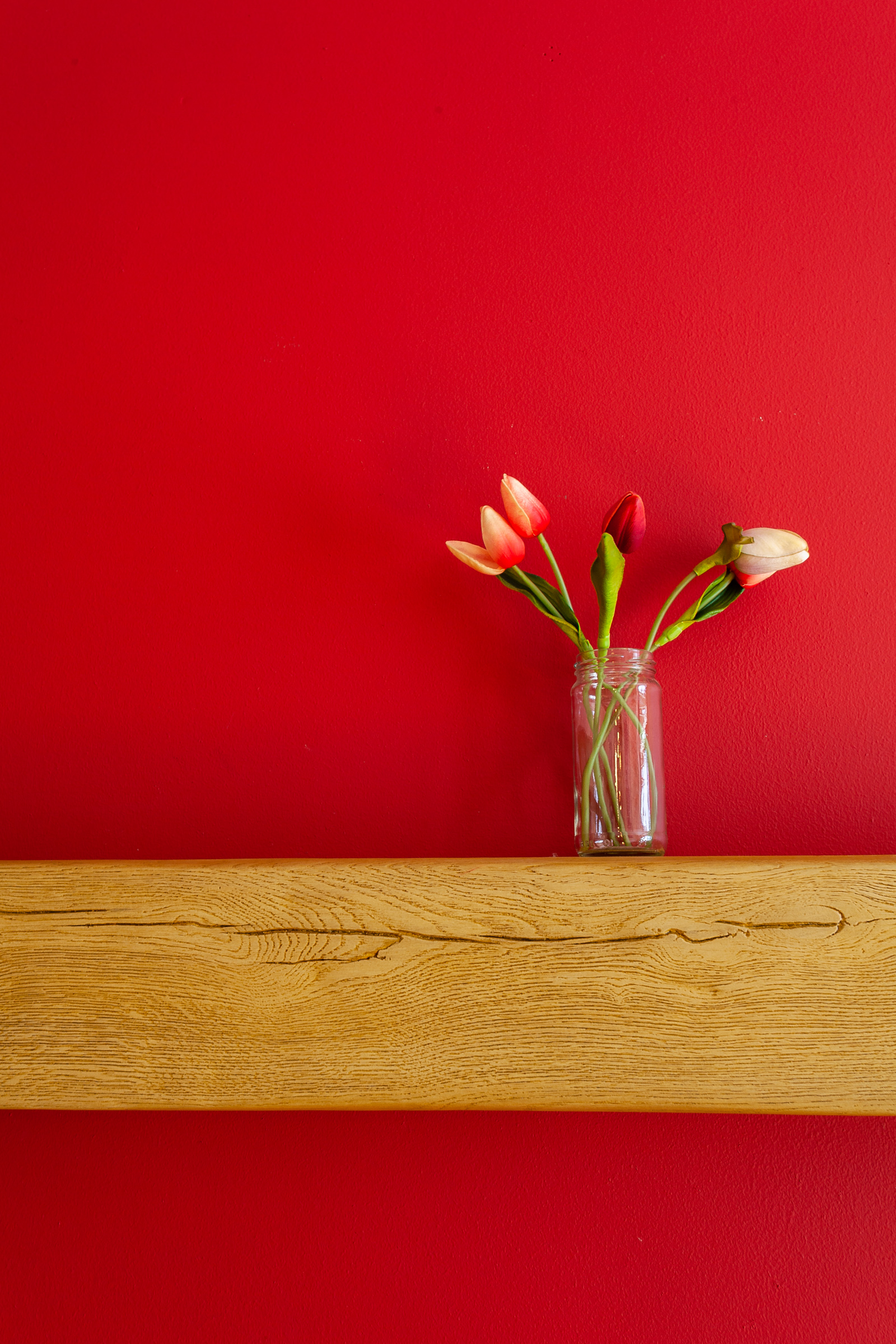 Photo: Niamh Whitty/www.pictureitsold.ie