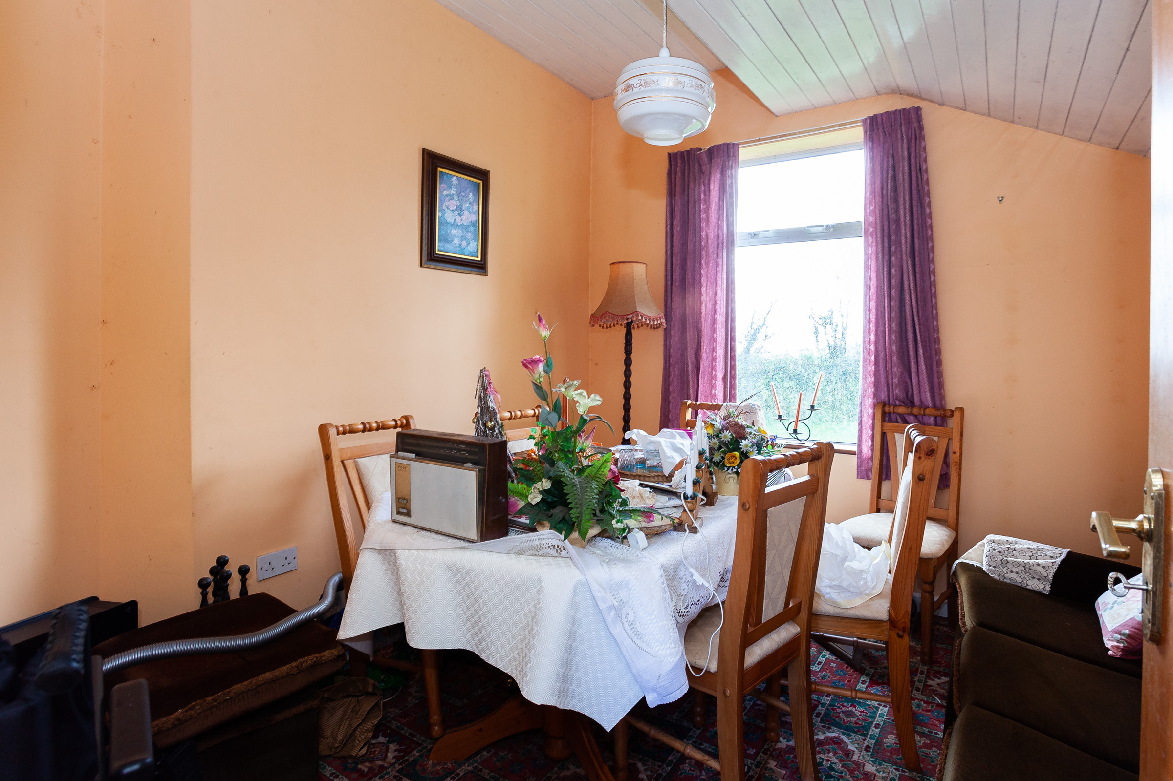 Photo: Niamh Whitty/www.pictureitsold.ie