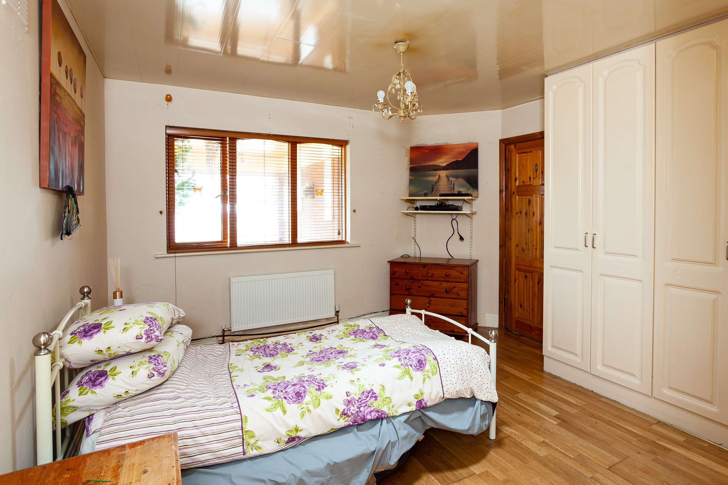 Photo: Niamh Whitty/www.pictureitsold.ie