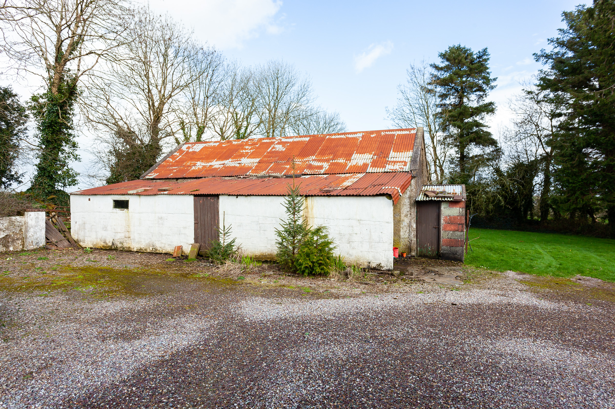 Photo: Niamh Whitty/www.pictureitsold.ie