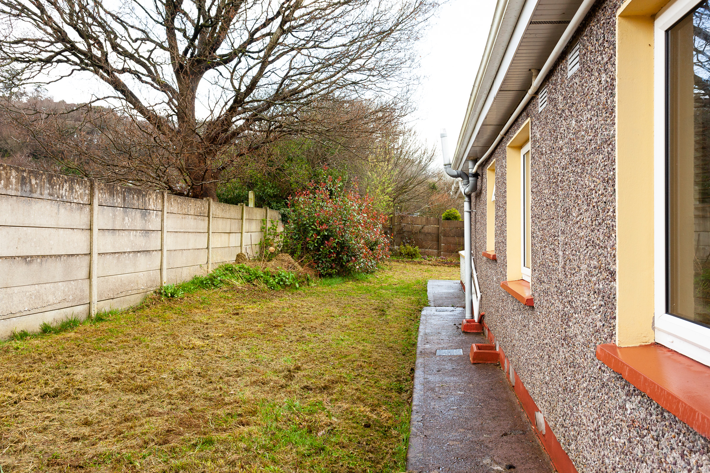 Photo: Niamh Whitty/www.pictureitsold.ie