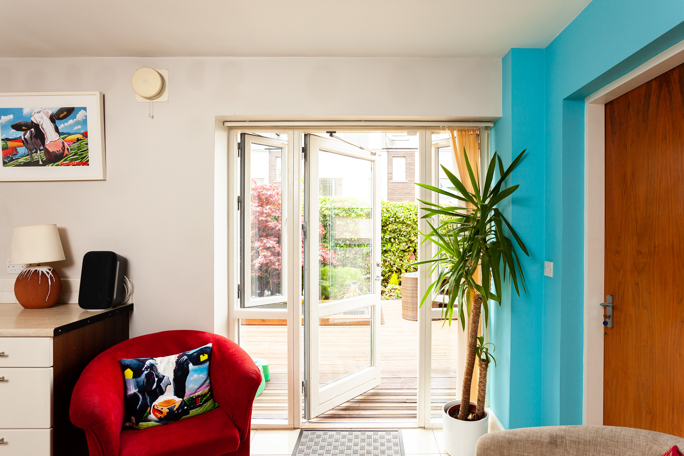Photo: Niamh Whitty/www.pictureitsold.ie