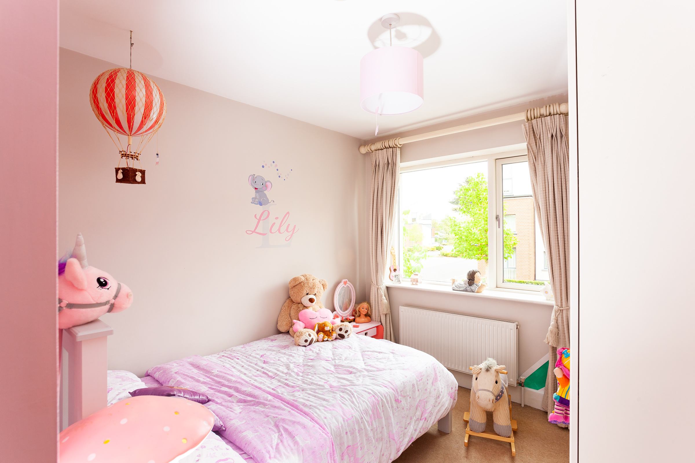 Photo: Niamh Whitty/www.pictureitsold.ie