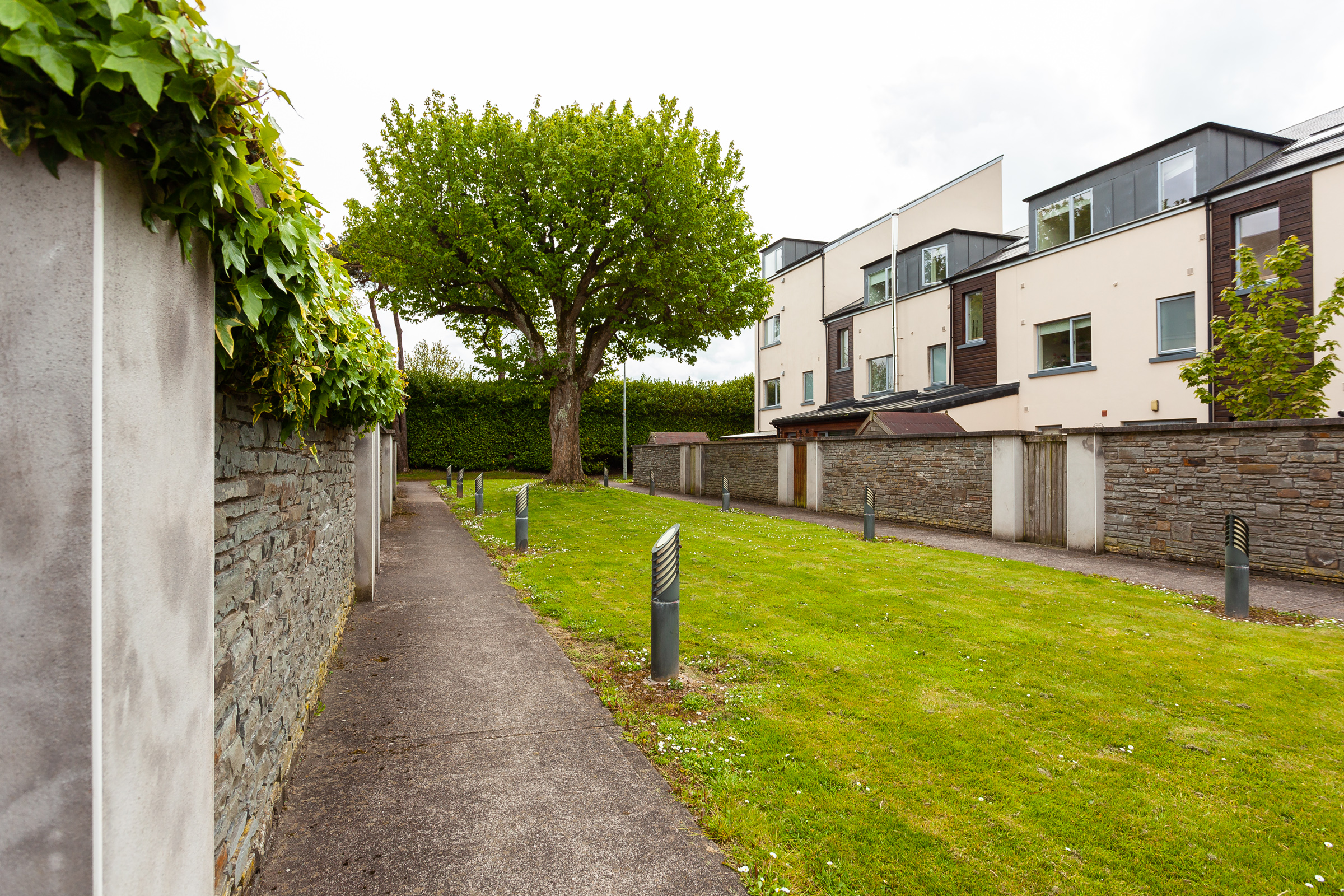 Photo: Niamh Whitty/www.pictureitsold.ie