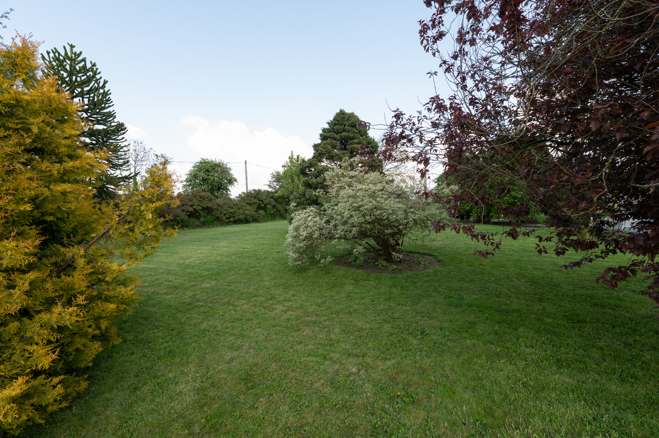 104 Corbiere