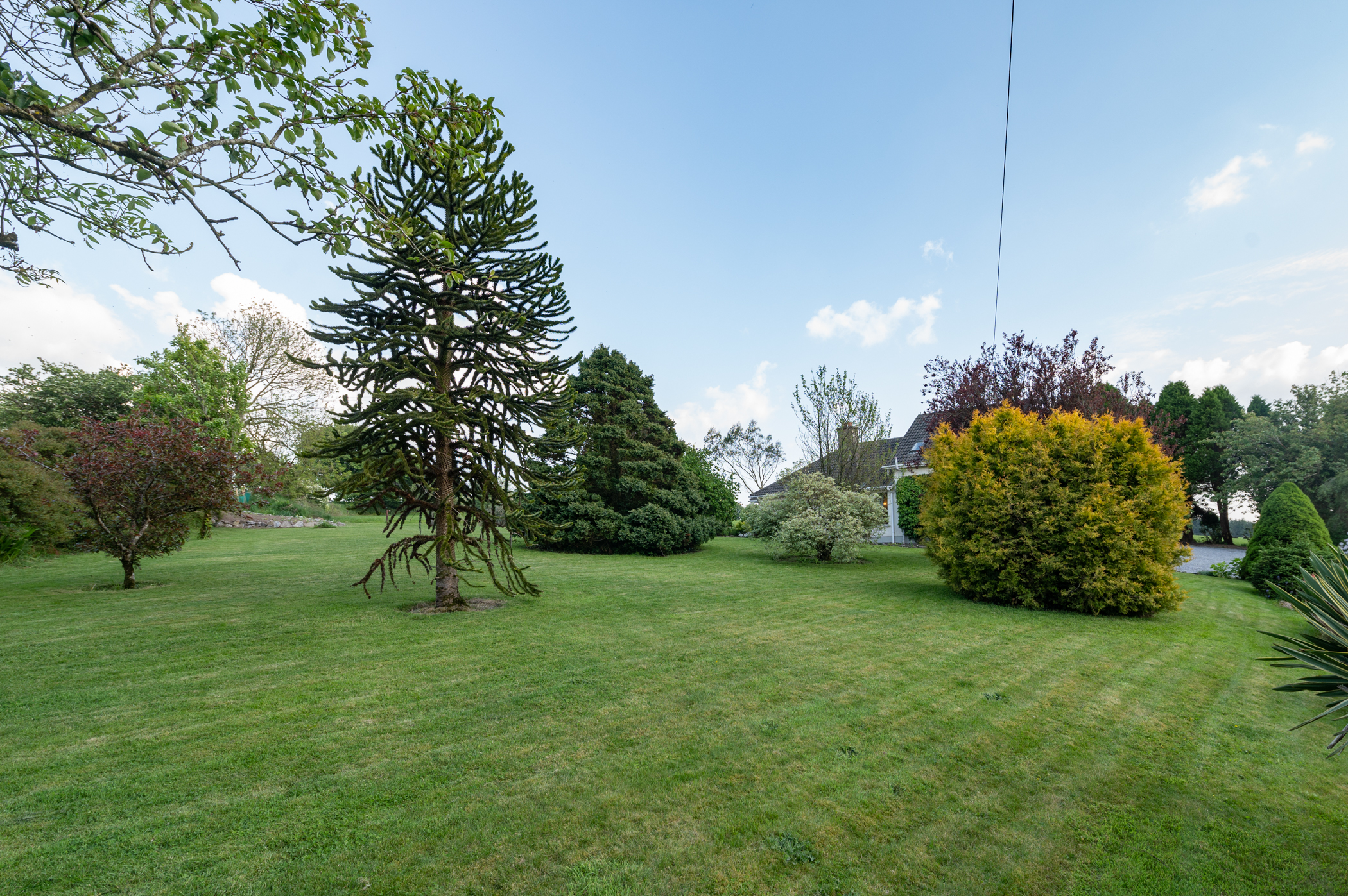 105 Corbiere