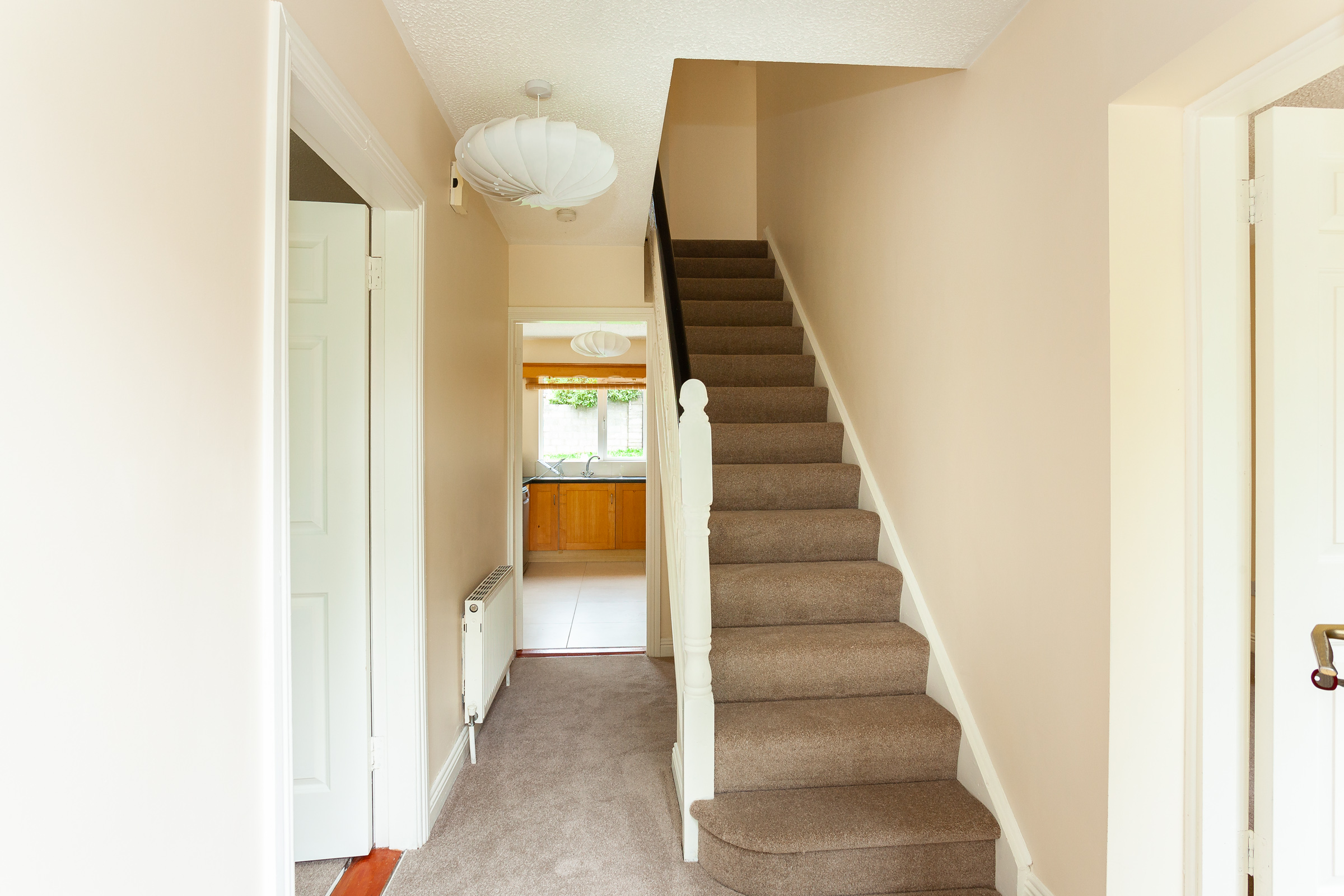 Photo: Niamh Whitty/www.pictureitsold.ie