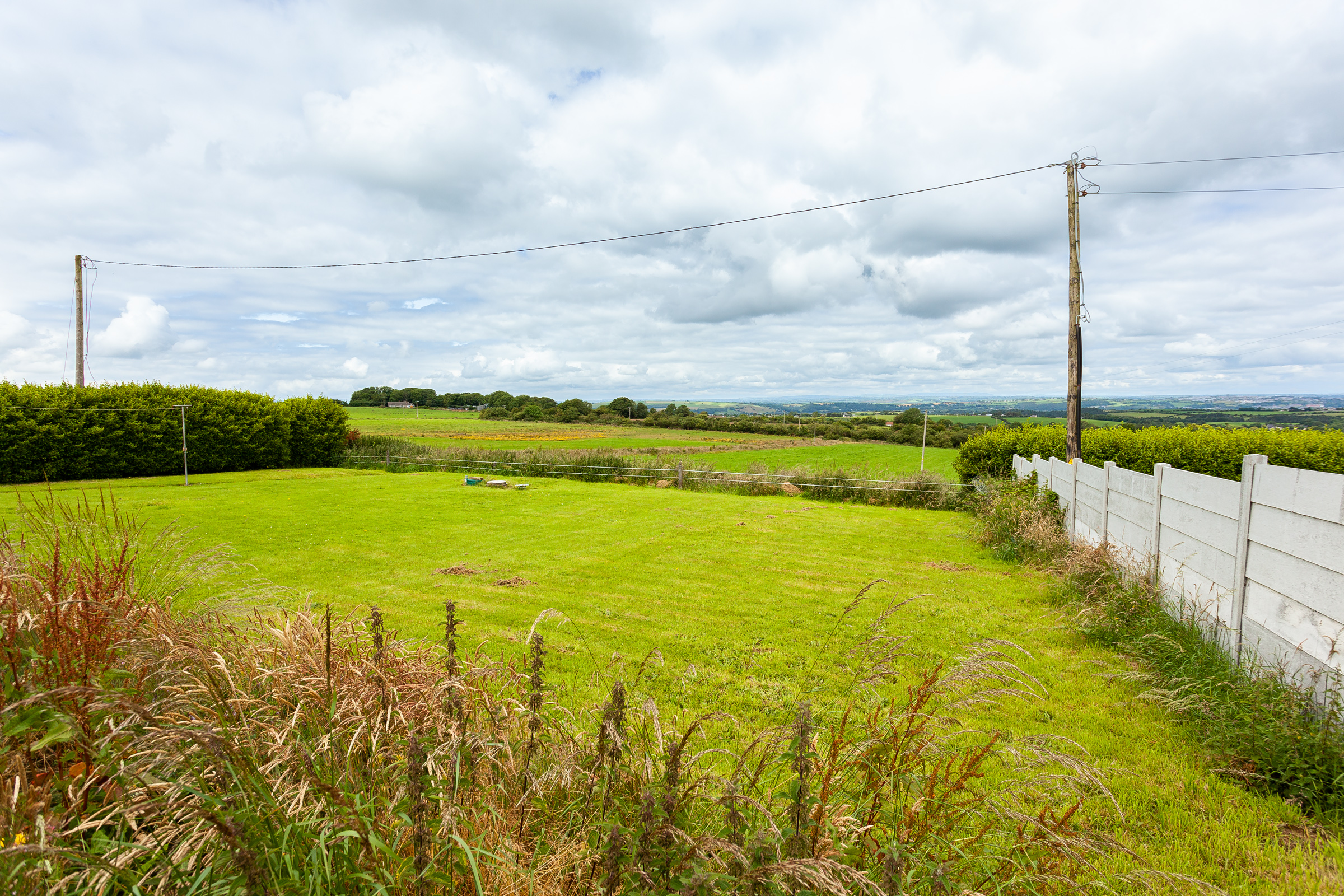 Photo: Niamh Whitty/www.pictureitsold.ie
