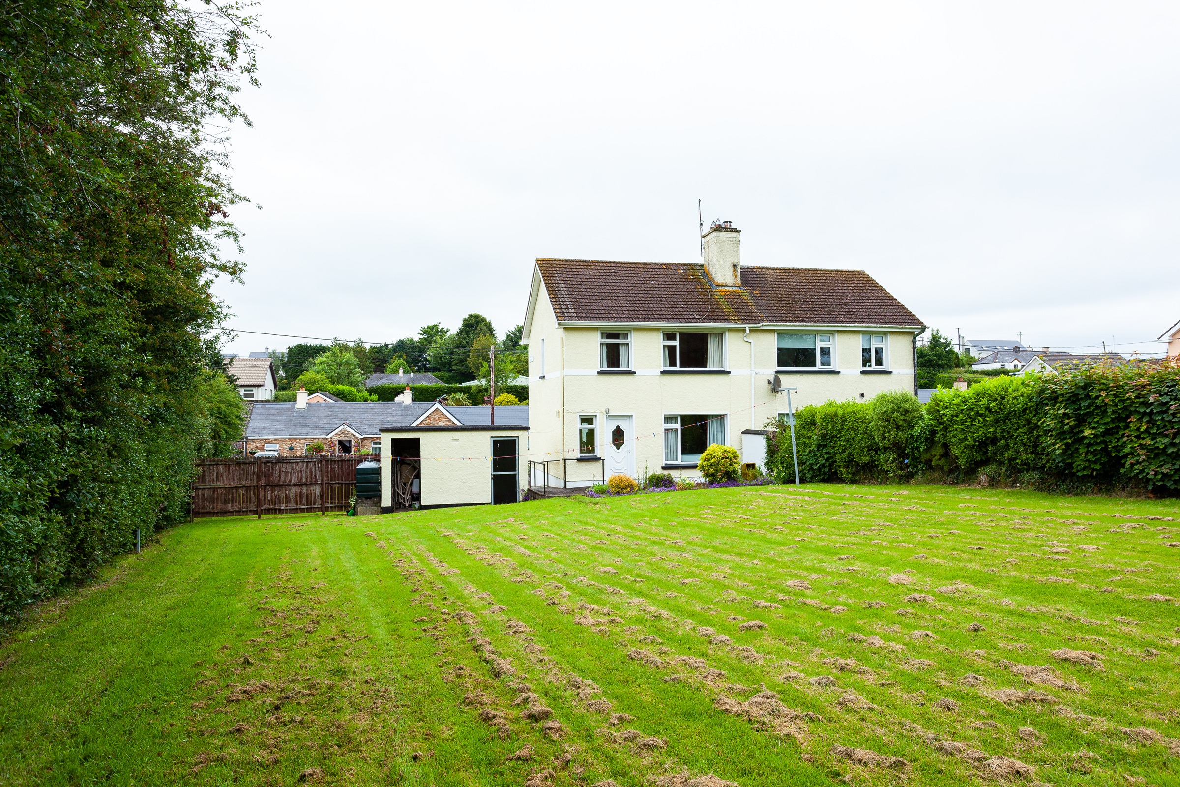 Photo: Niamh Whitty/www.pictureitsold.ie