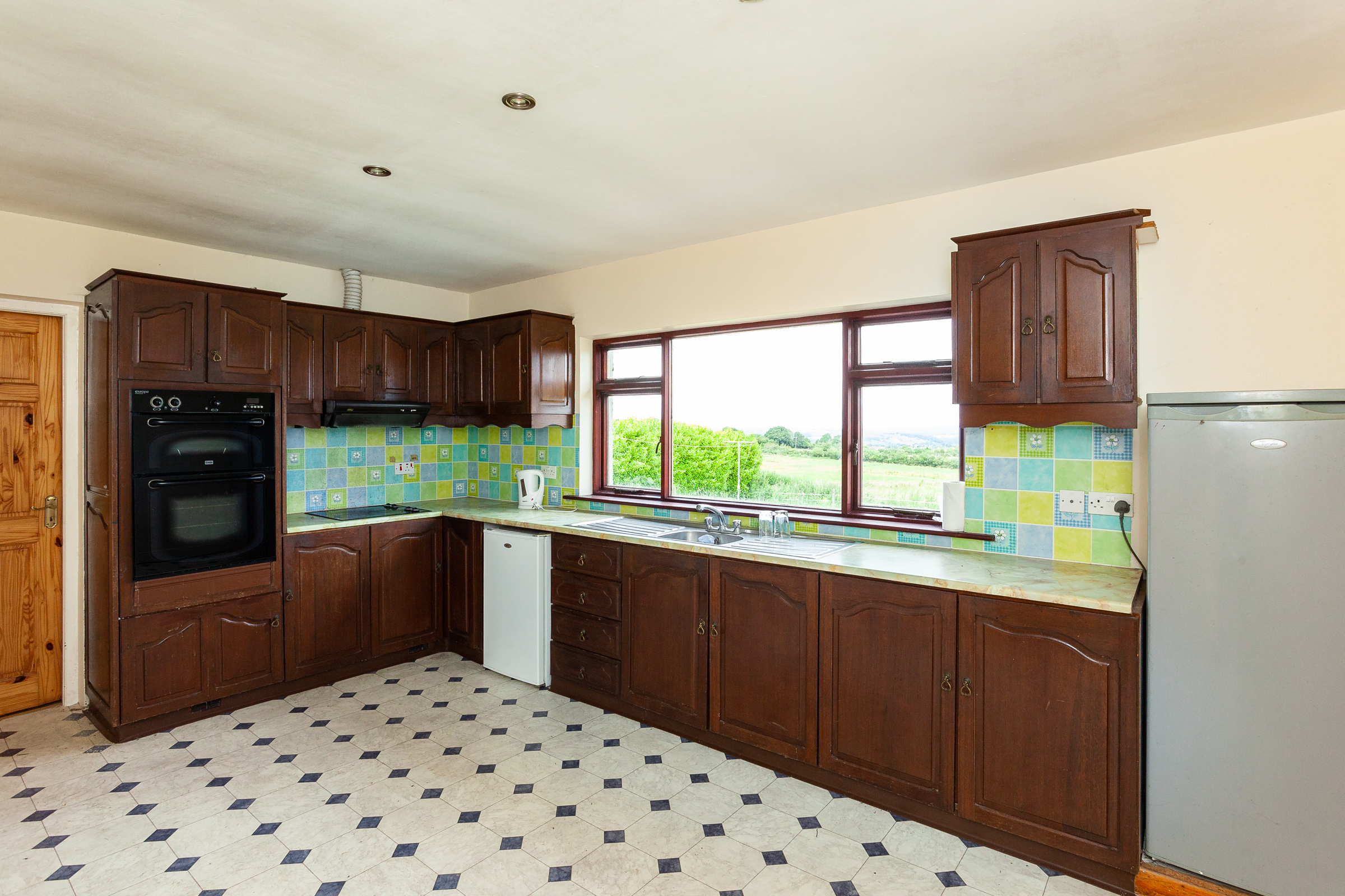 Photo: Niamh Whitty/www.pictureitsold.ie