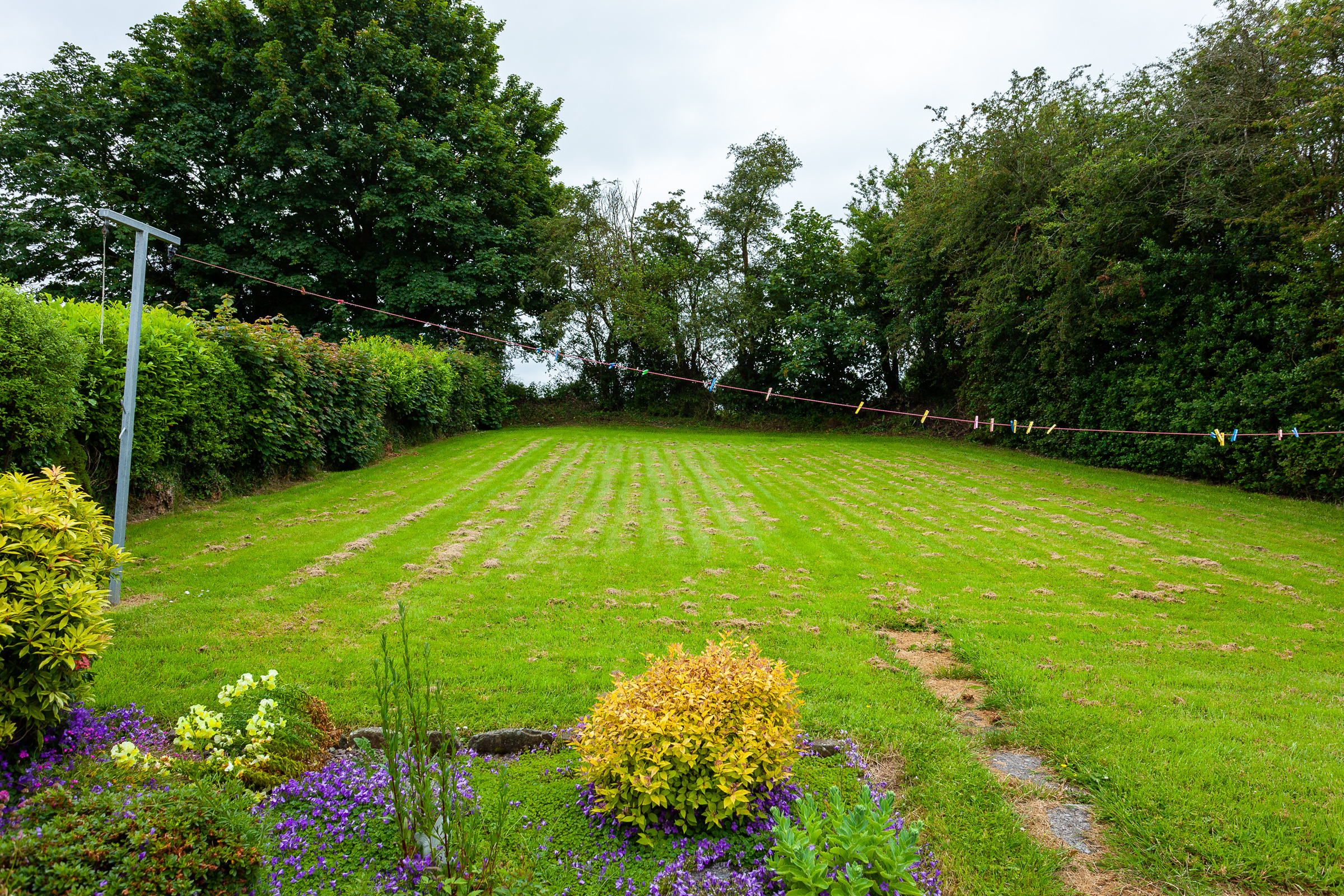 Photo: Niamh Whitty/www.pictureitsold.ie