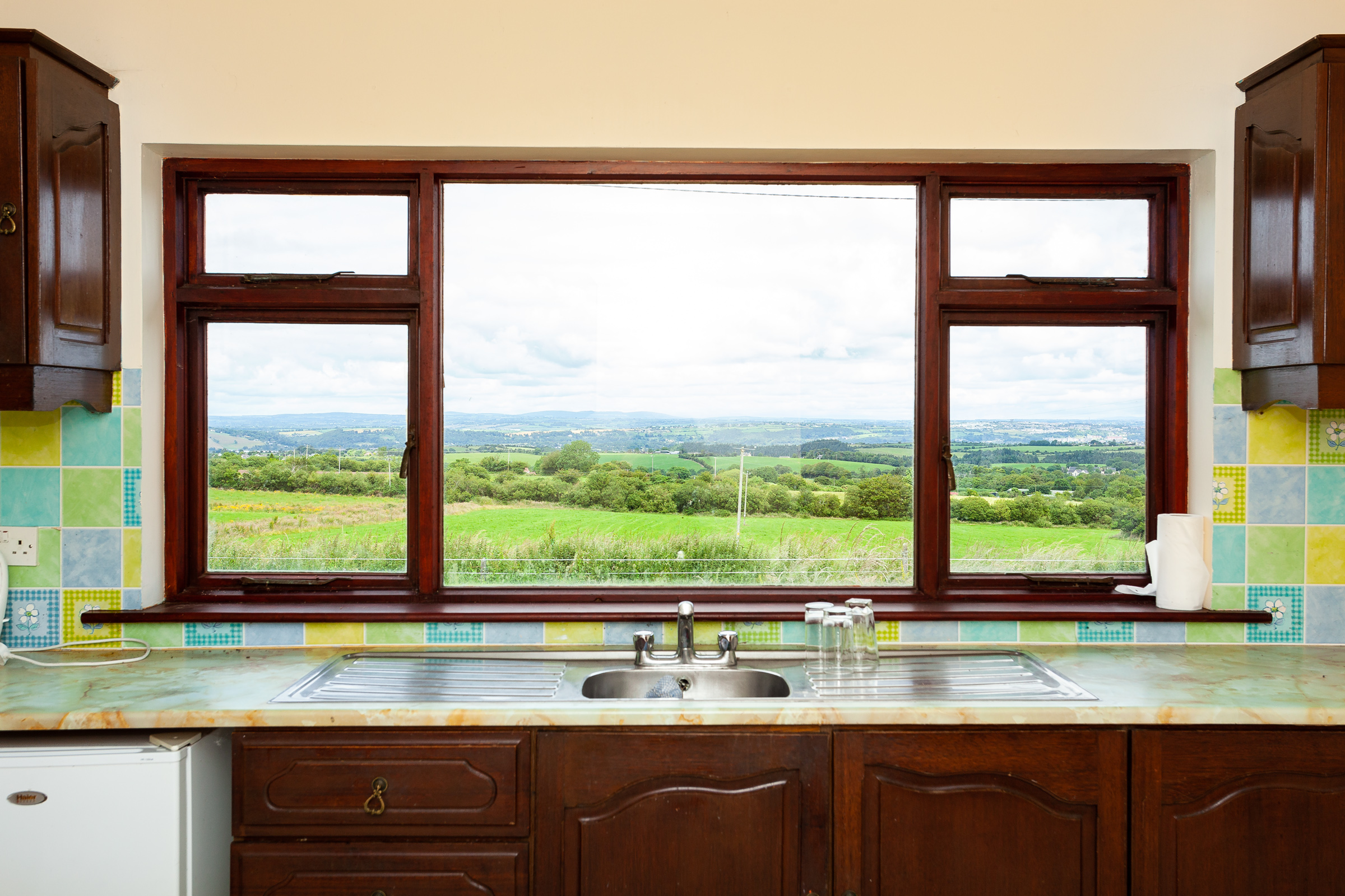 Photo: Niamh Whitty/www.pictureitsold.ie