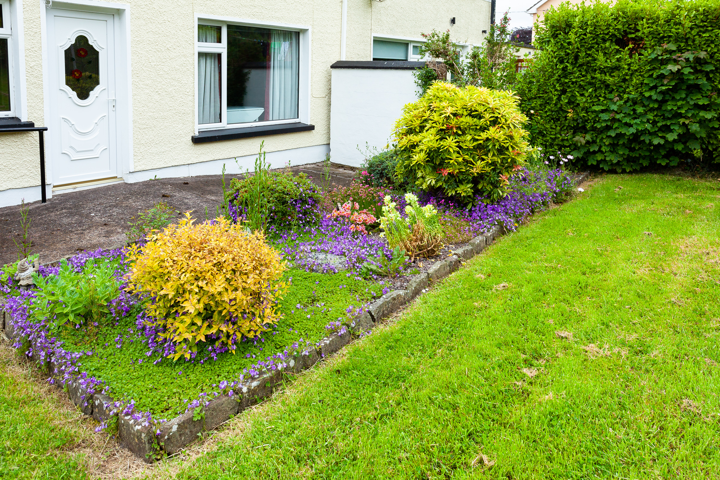Photo: Niamh Whitty/www.pictureitsold.ie
