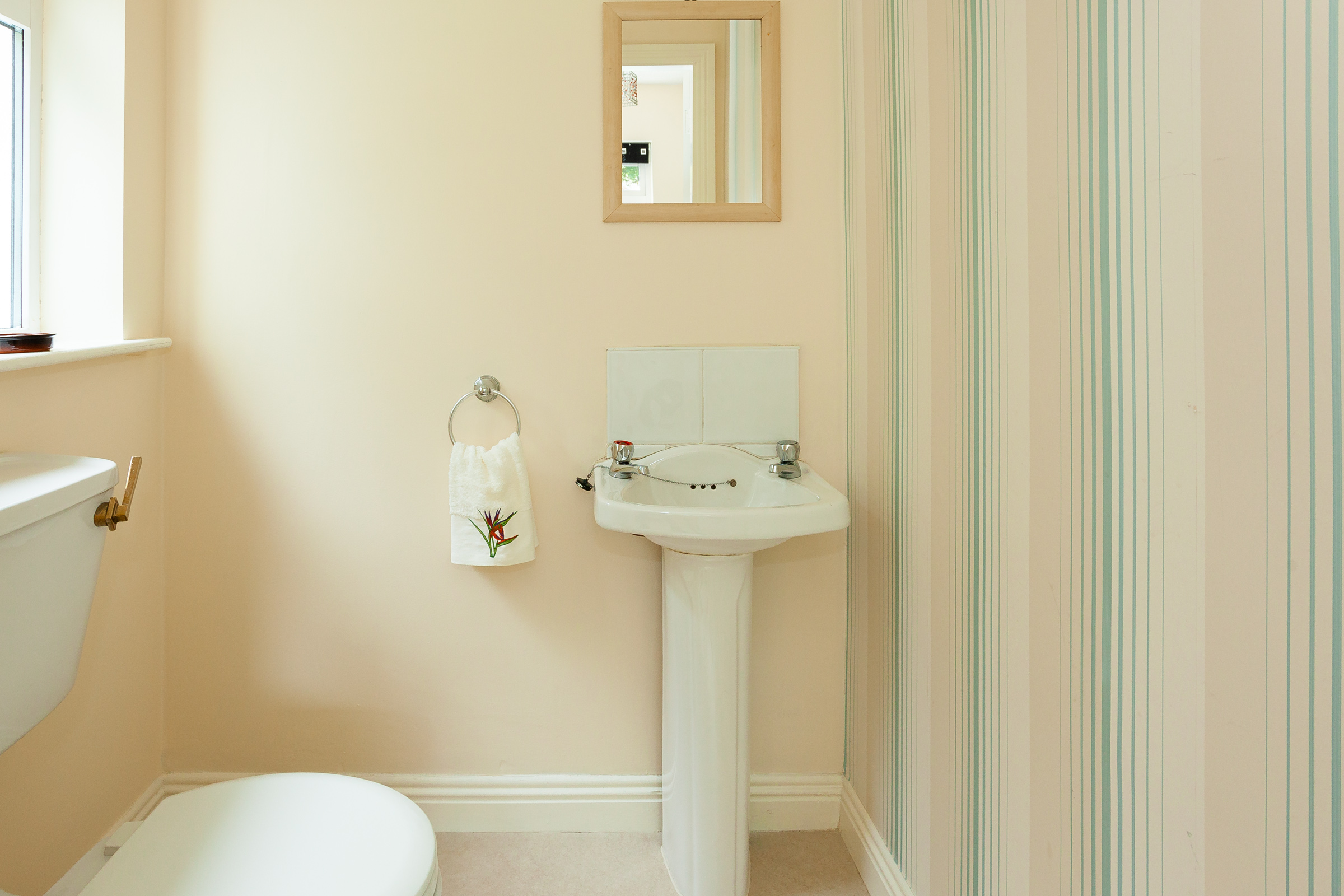 Photo: Niamh Whitty/www.pictureitsold.ie