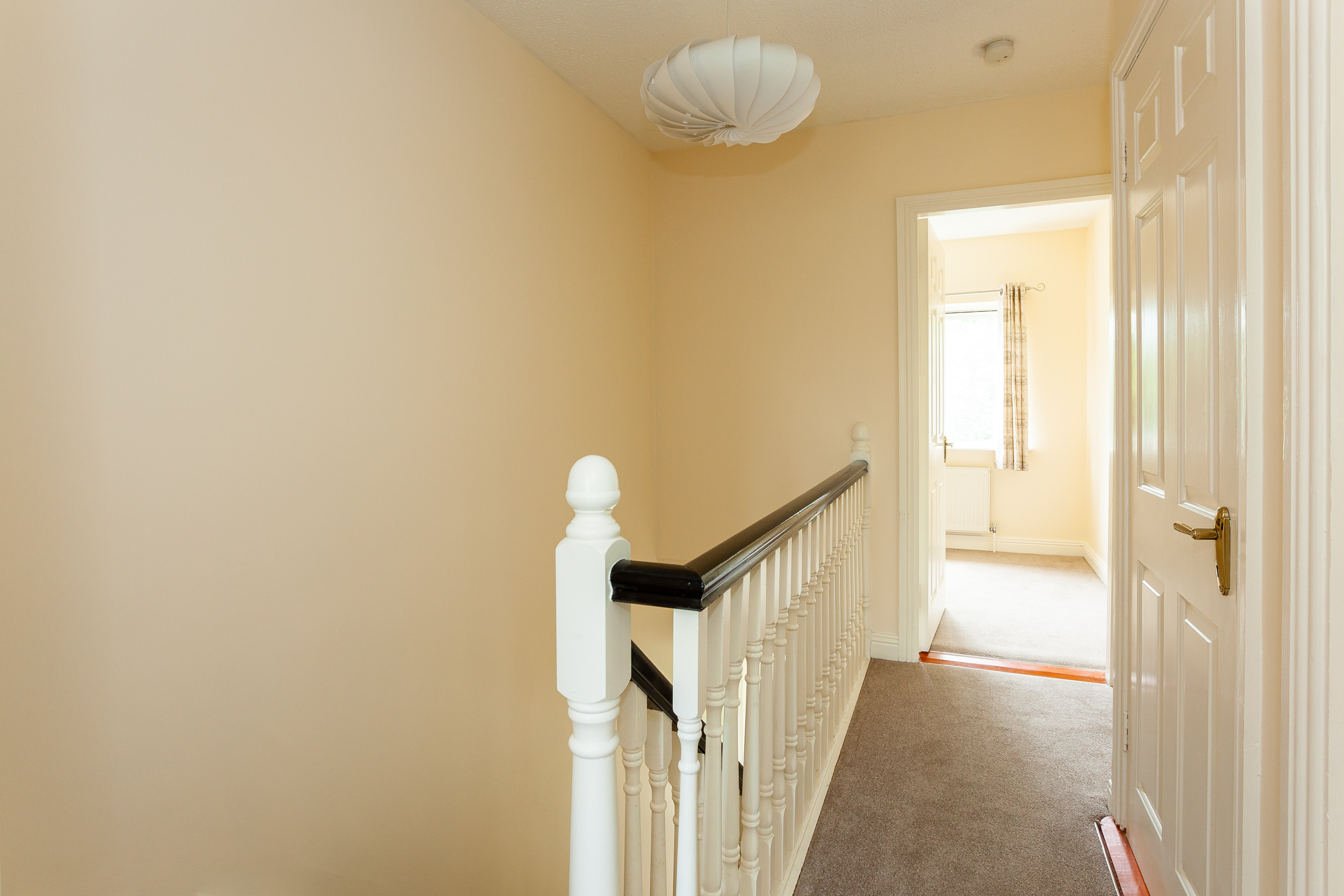 Photo: Niamh Whitty/www.pictureitsold.ie