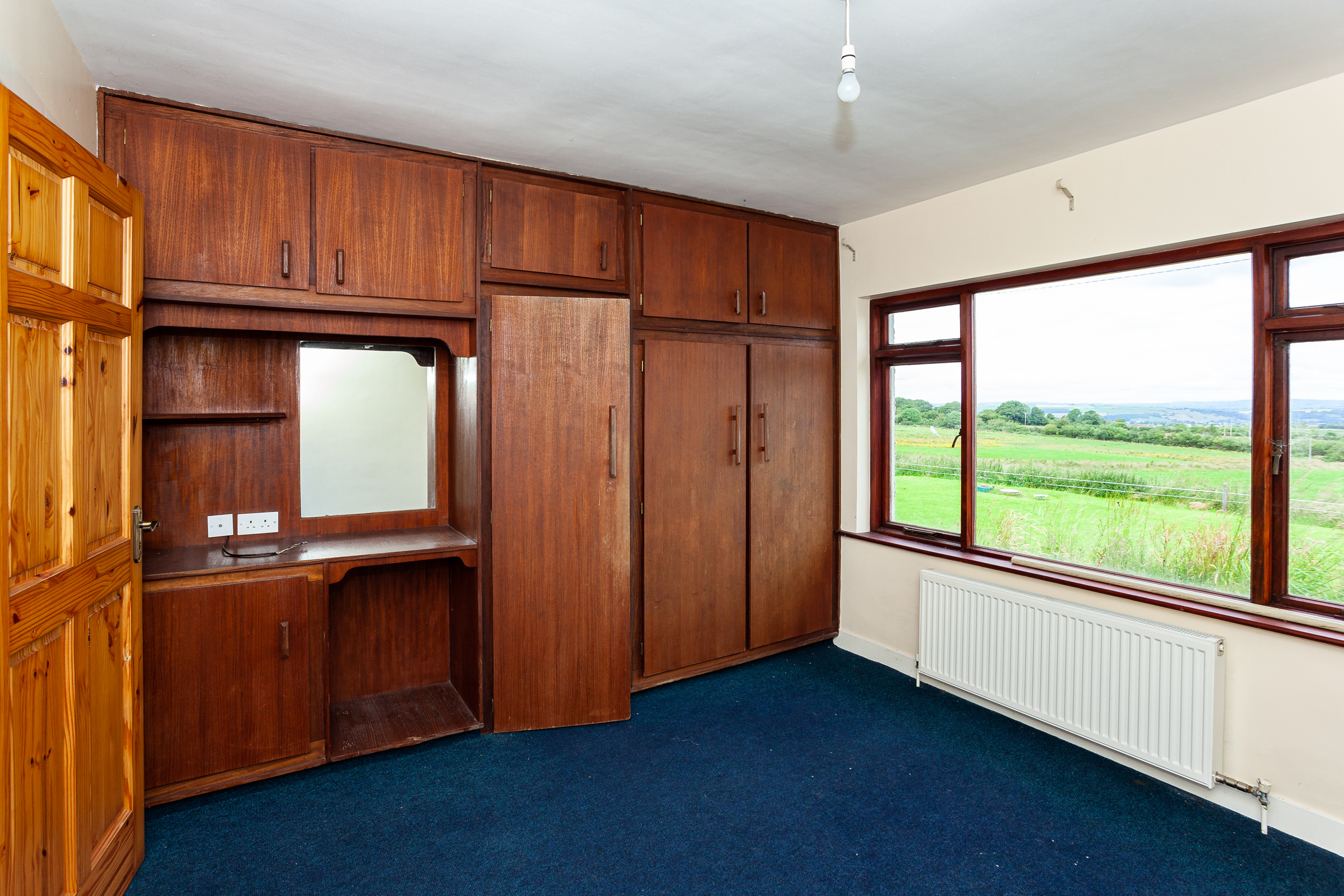 Photo: Niamh Whitty/www.pictureitsold.ie