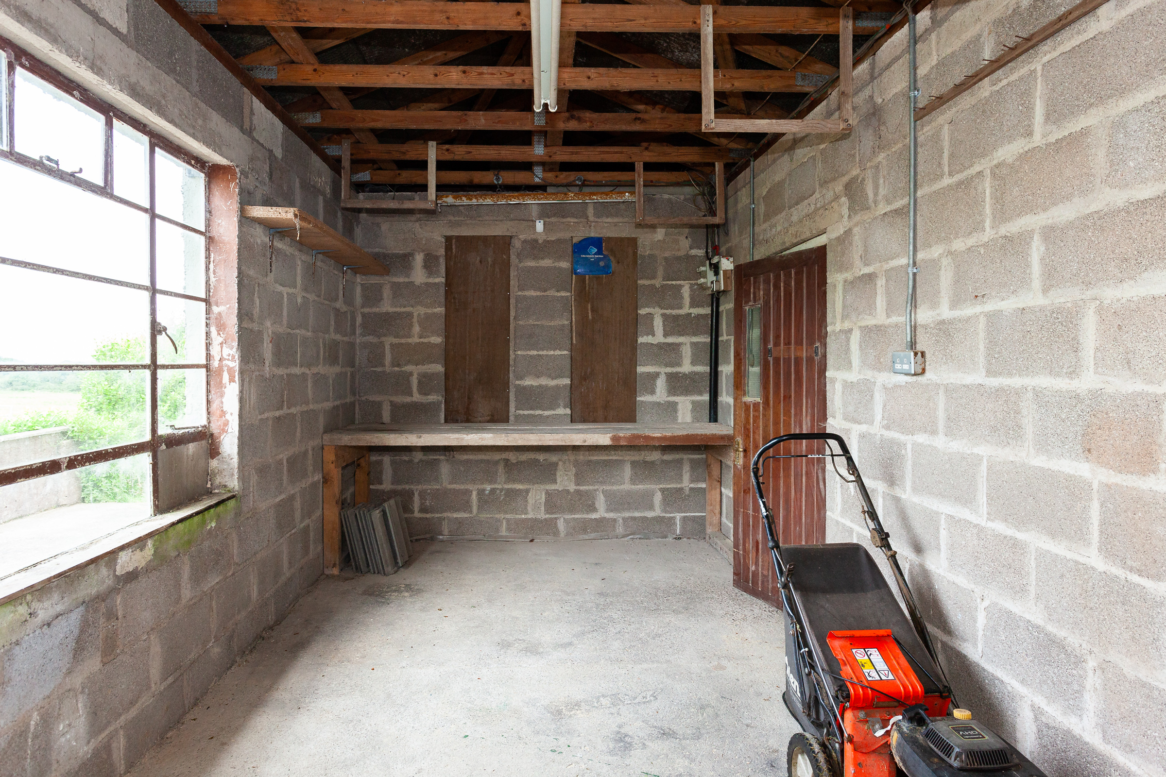Photo: Niamh Whitty/www.pictureitsold.ie