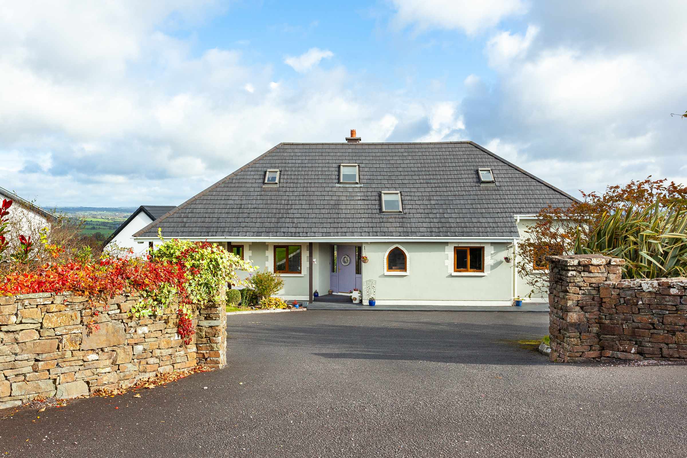 Photo: Niamh Whitty/www.pictureitsold.ie