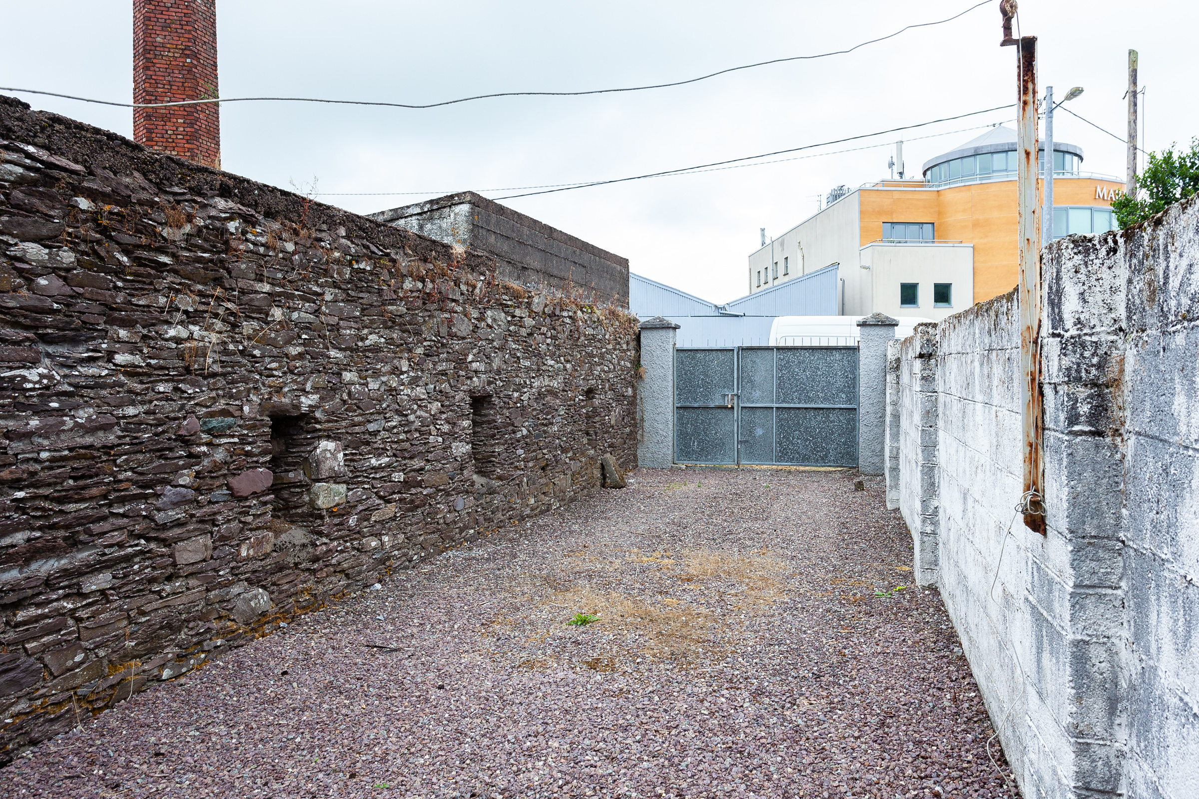 Photo: Niamh Whitty/www.pictureitsold.ie
