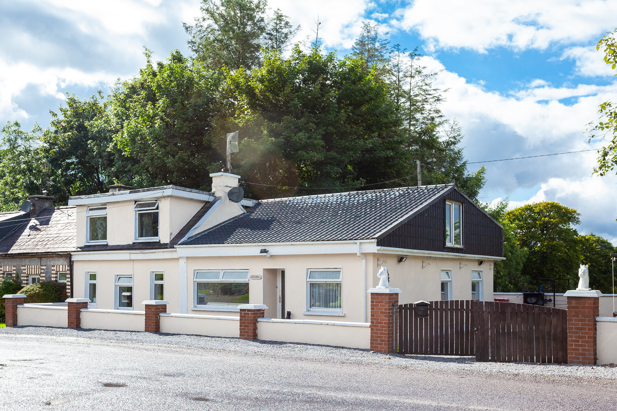 Photo: Niamh Whitty/www.pictureitsold.ie