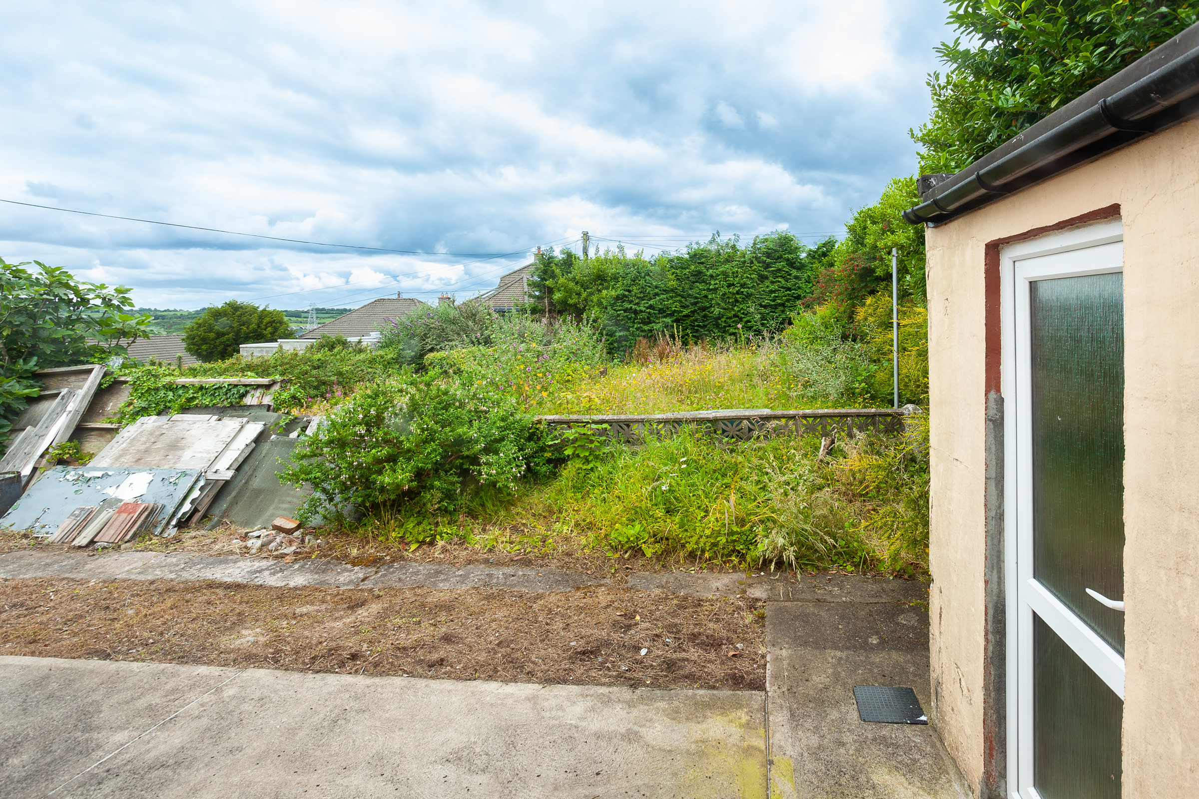Photo: Niamh Whitty/www.pictureitsold.ie