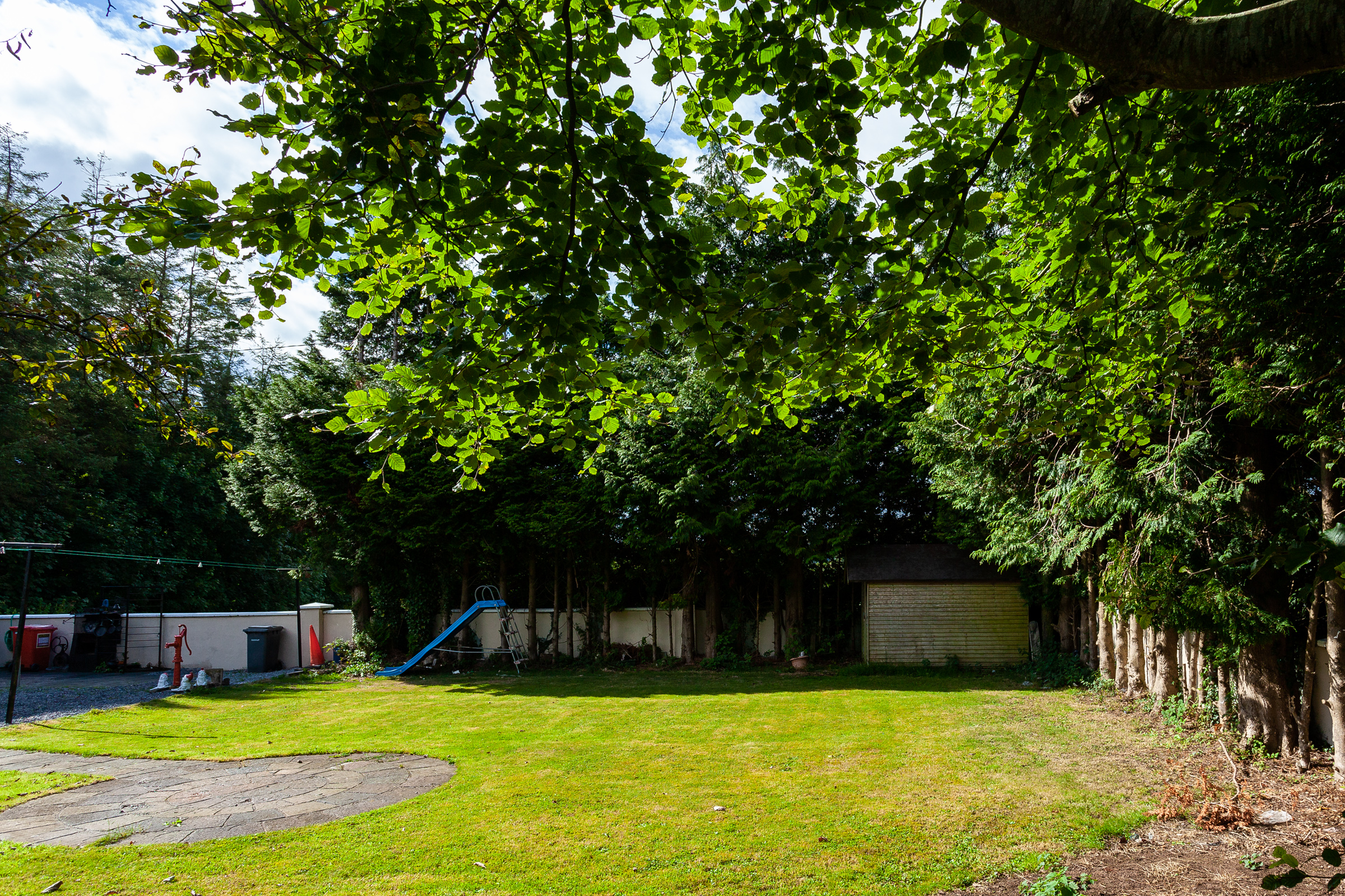 Photo: Niamh Whitty/www.pictureitsold.ie