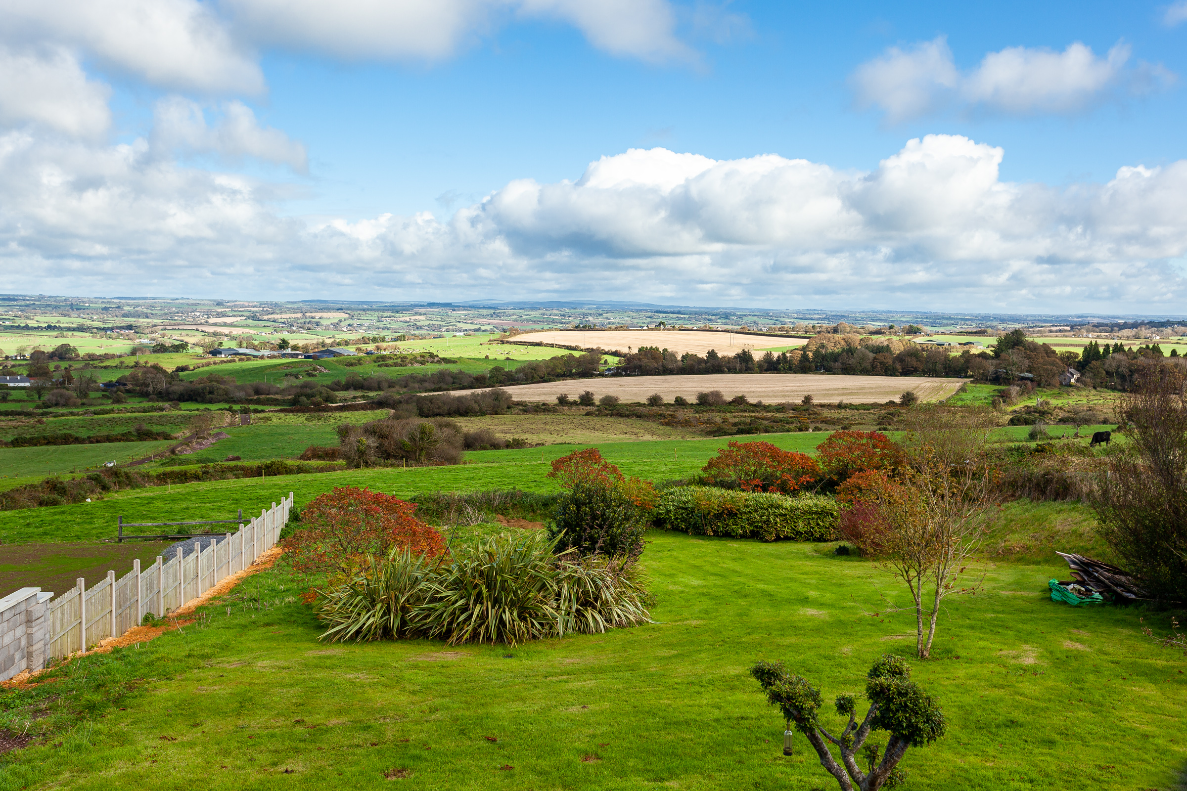 Photo: Niamh Whitty/www.pictureitsold.ie