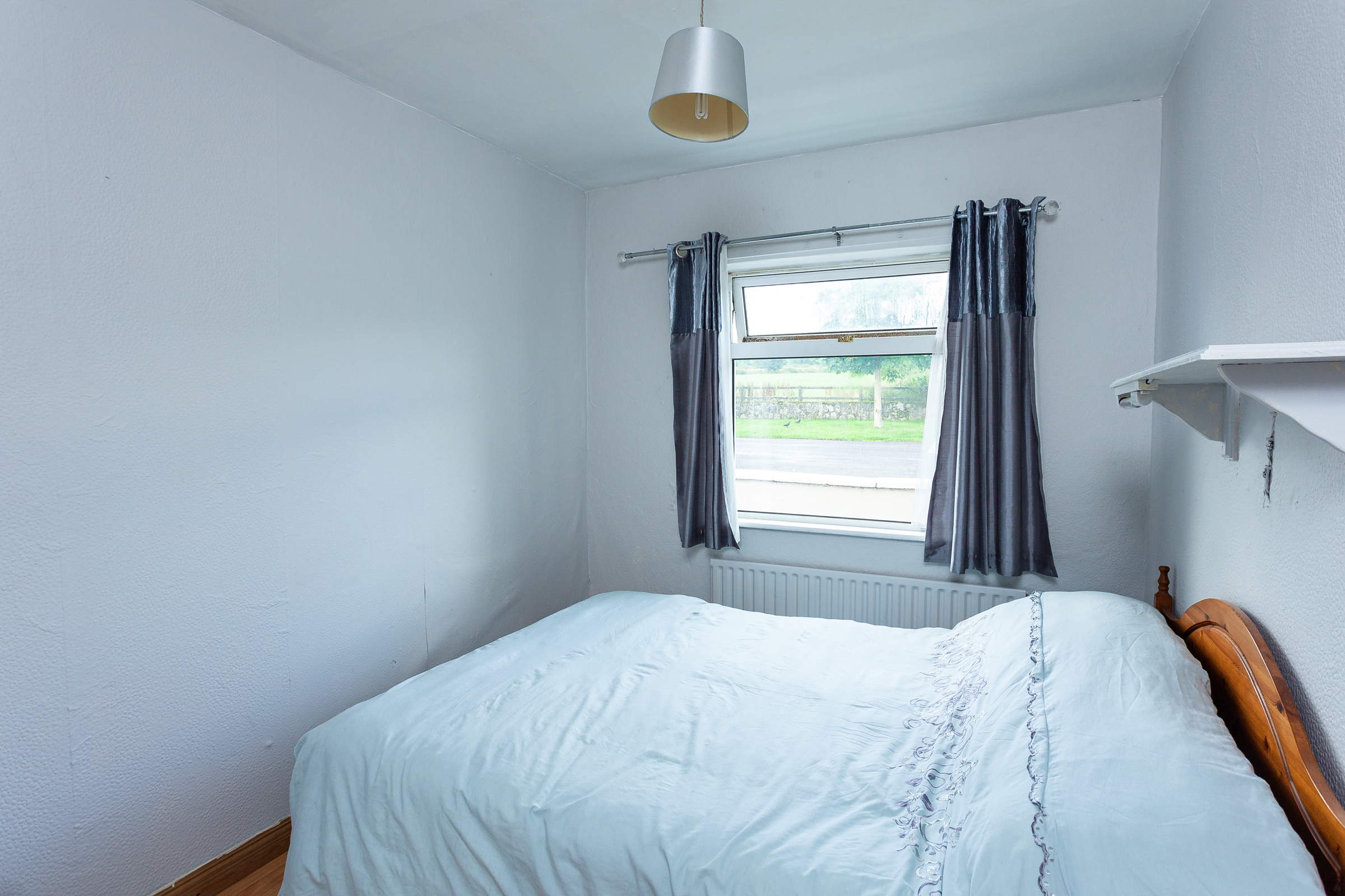 Photo: Niamh Whitty/www.pictureitsold.ie