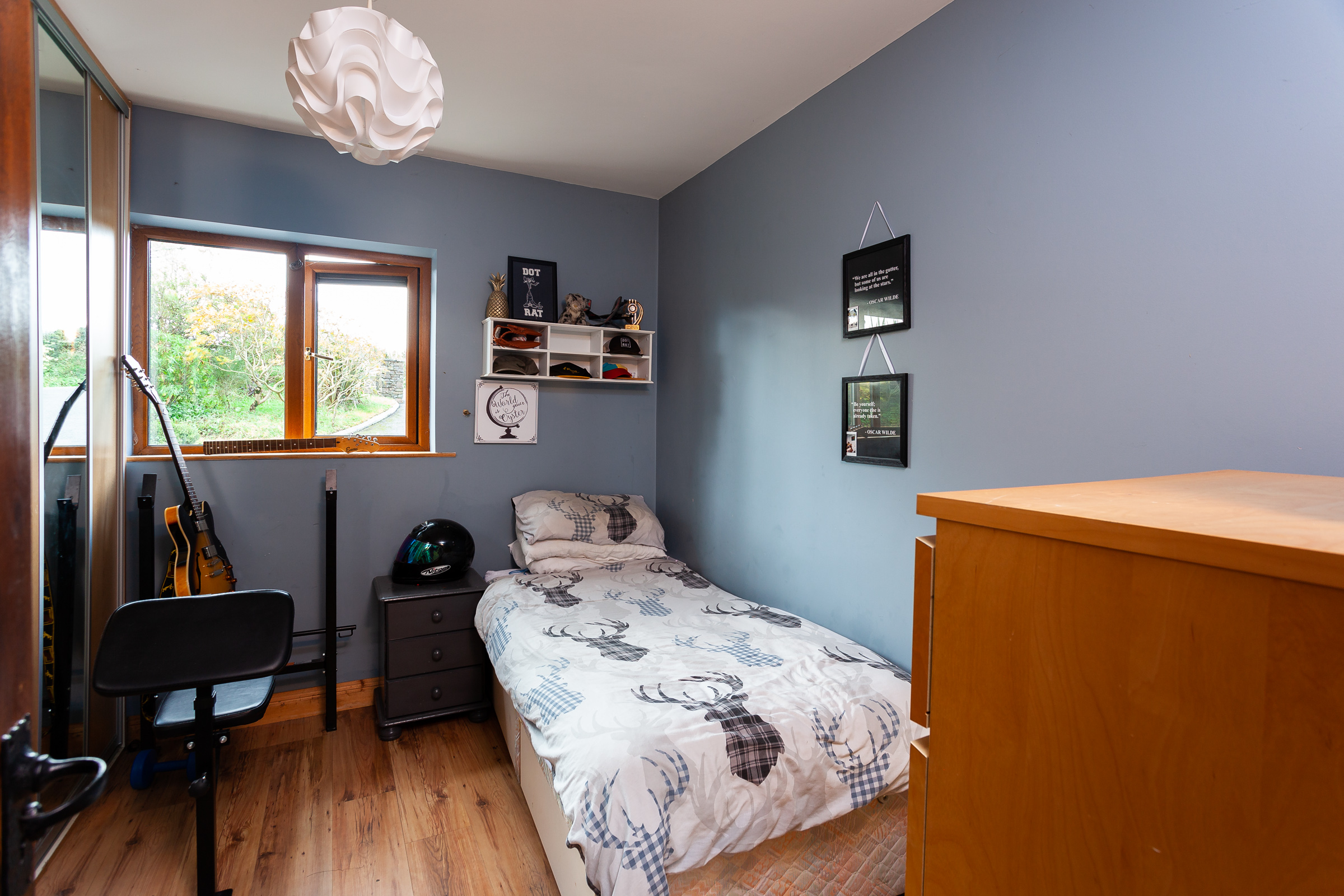 Photo: Niamh Whitty/www.pictureitsold.ie