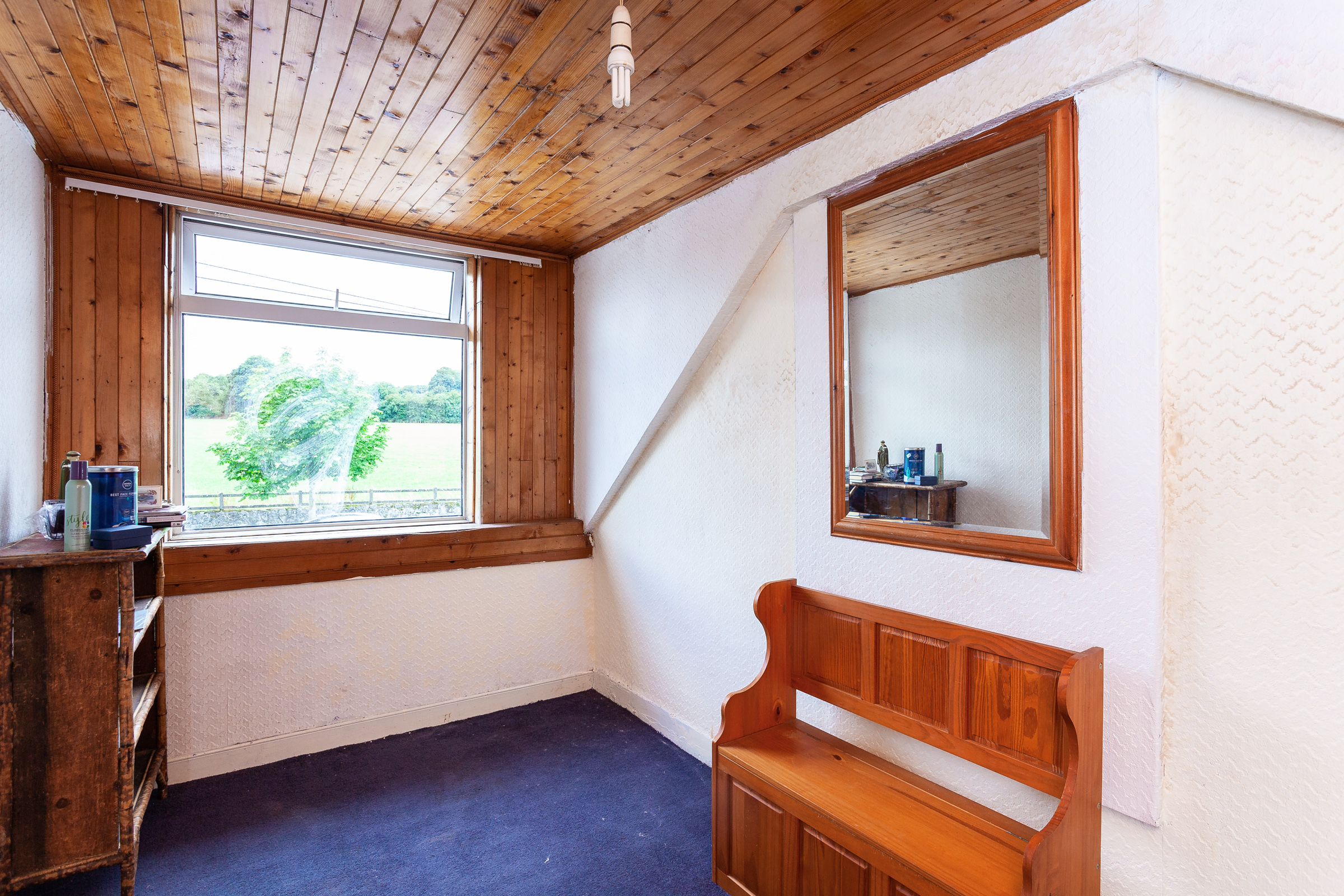 Photo: Niamh Whitty/www.pictureitsold.ie