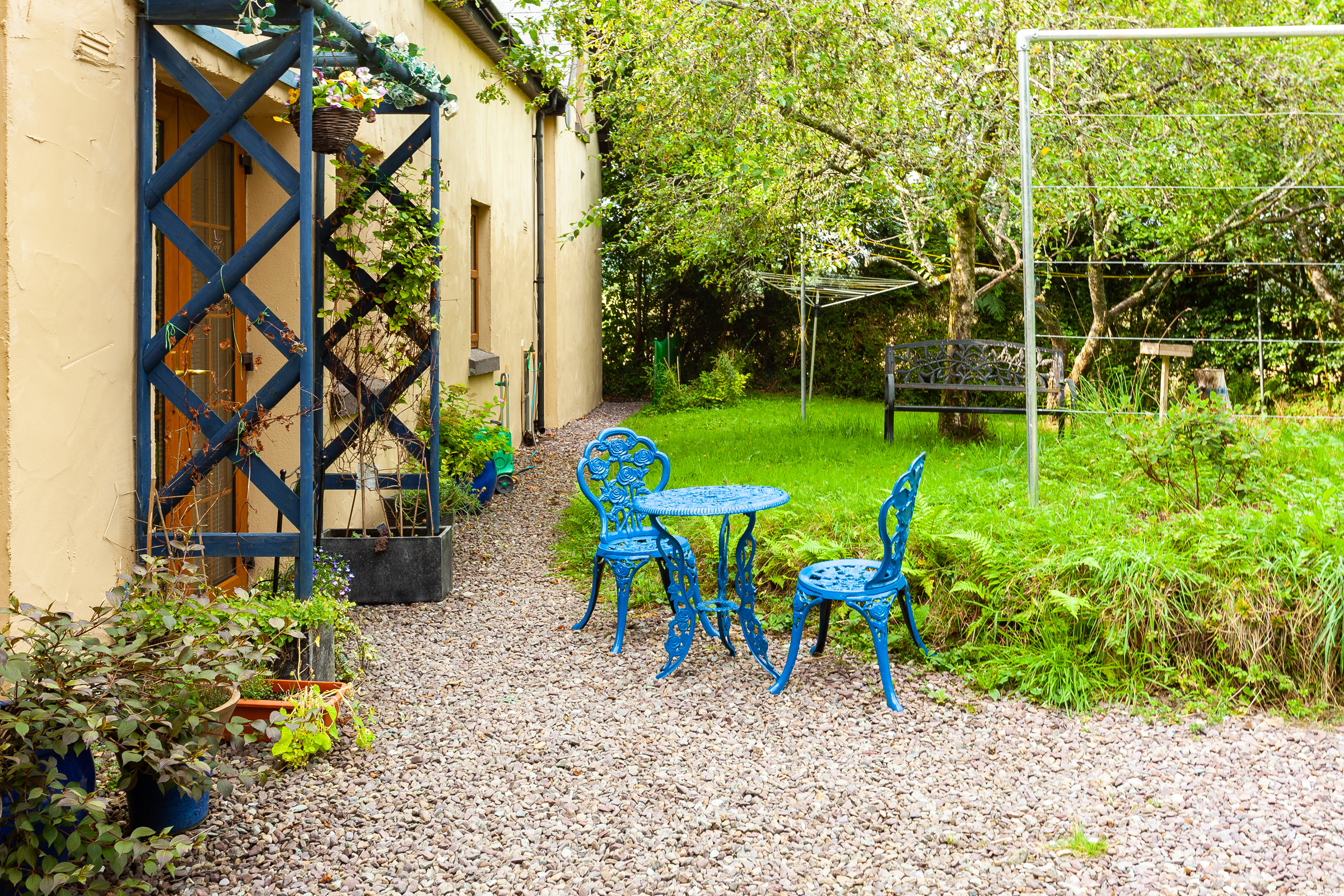 Photo: Niamh Whitty/www.pictureitsold.ie