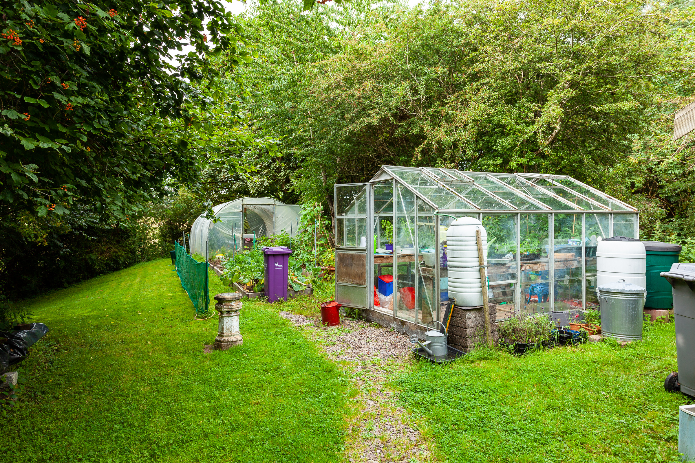 Photo: Niamh Whitty/www.pictureitsold.ie