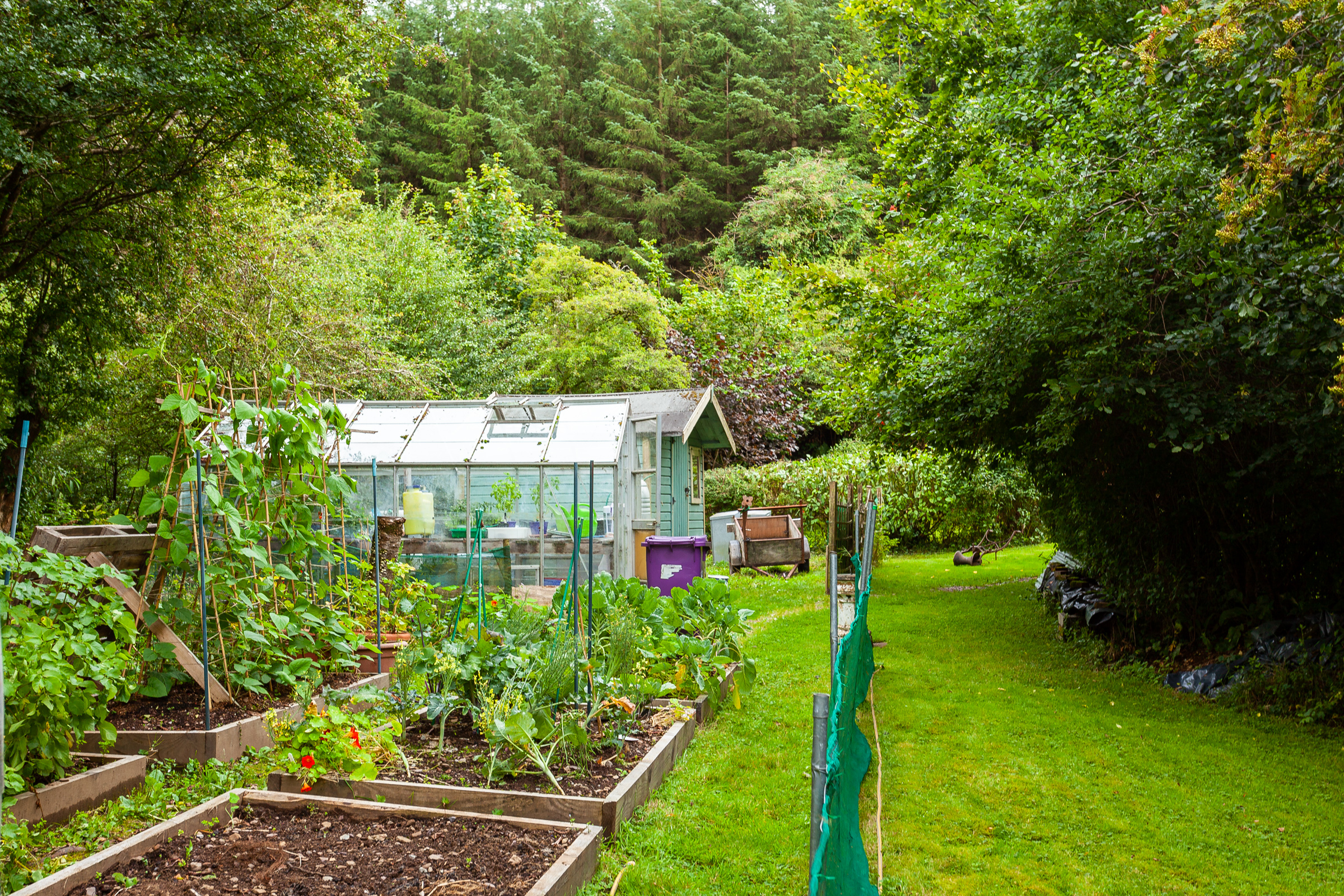 Photo: Niamh Whitty/www.pictureitsold.ie