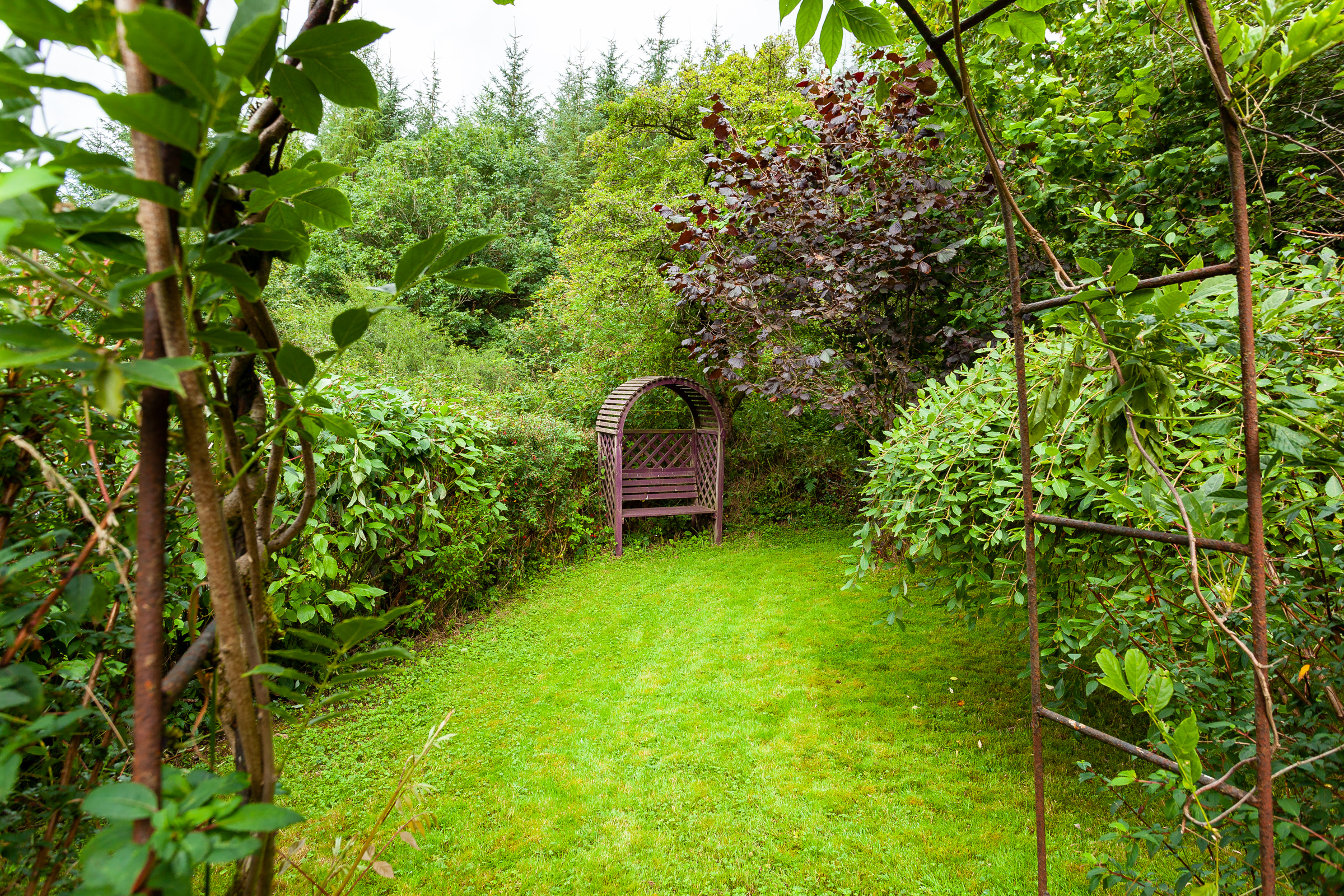 Photo: Niamh Whitty/www.pictureitsold.ie
