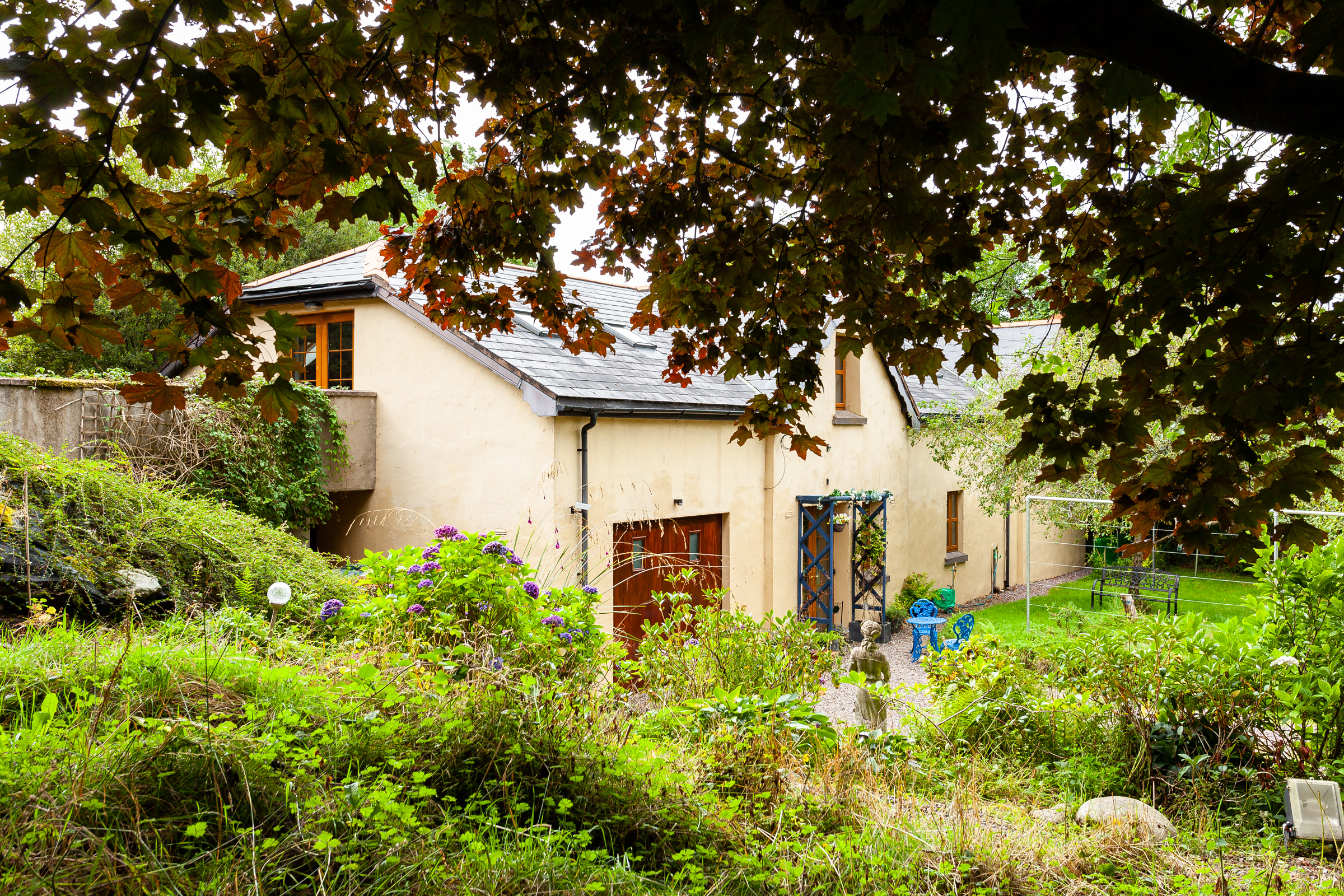 Photo: Niamh Whitty/www.pictureitsold.ie