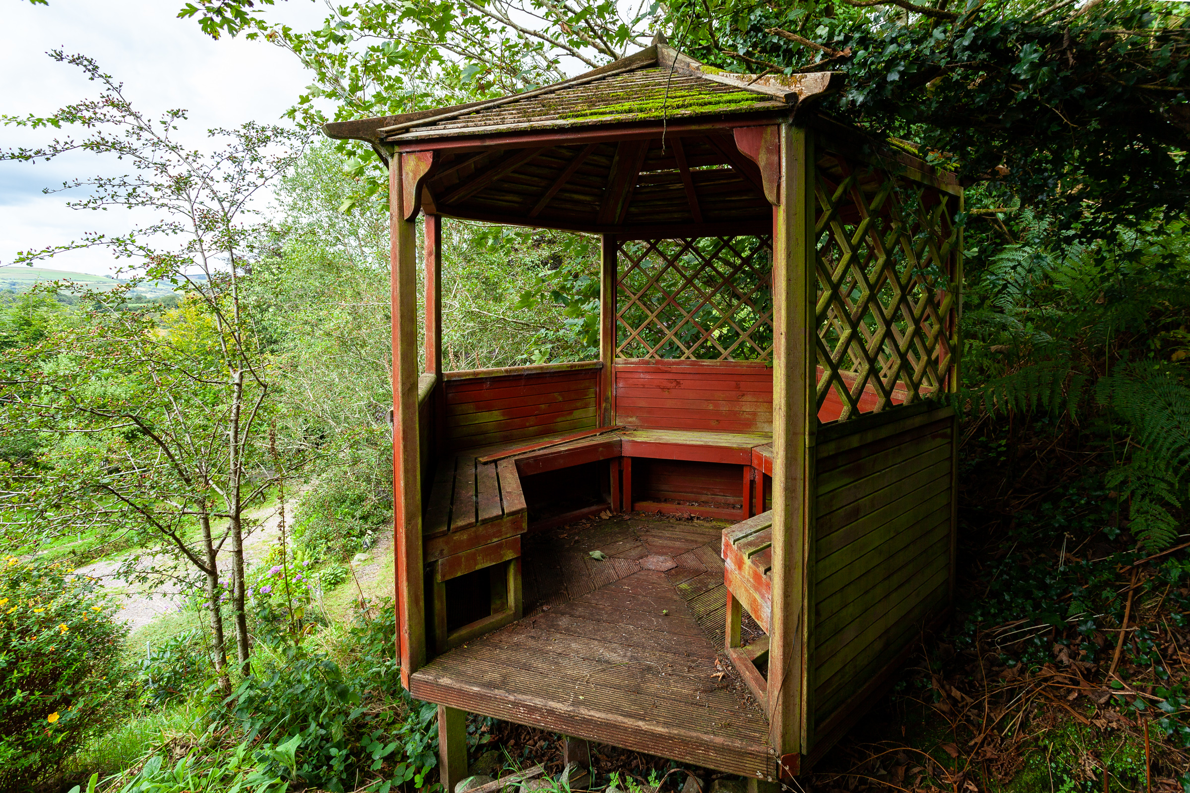 Photo: Niamh Whitty/www.pictureitsold.ie