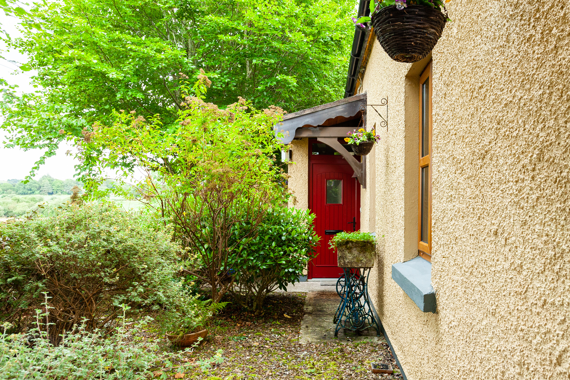 Photo: Niamh Whitty/www.pictureitsold.ie