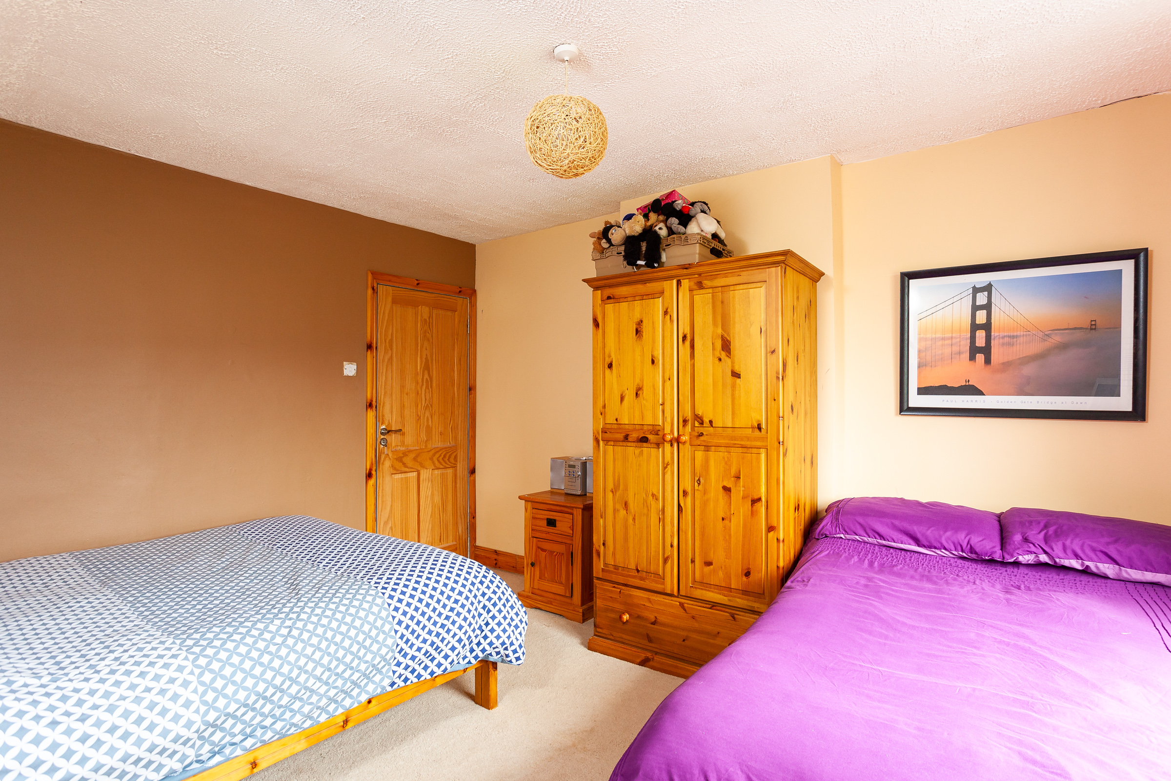 Photo: Niamh Whitty/www.pictureitsold.ie