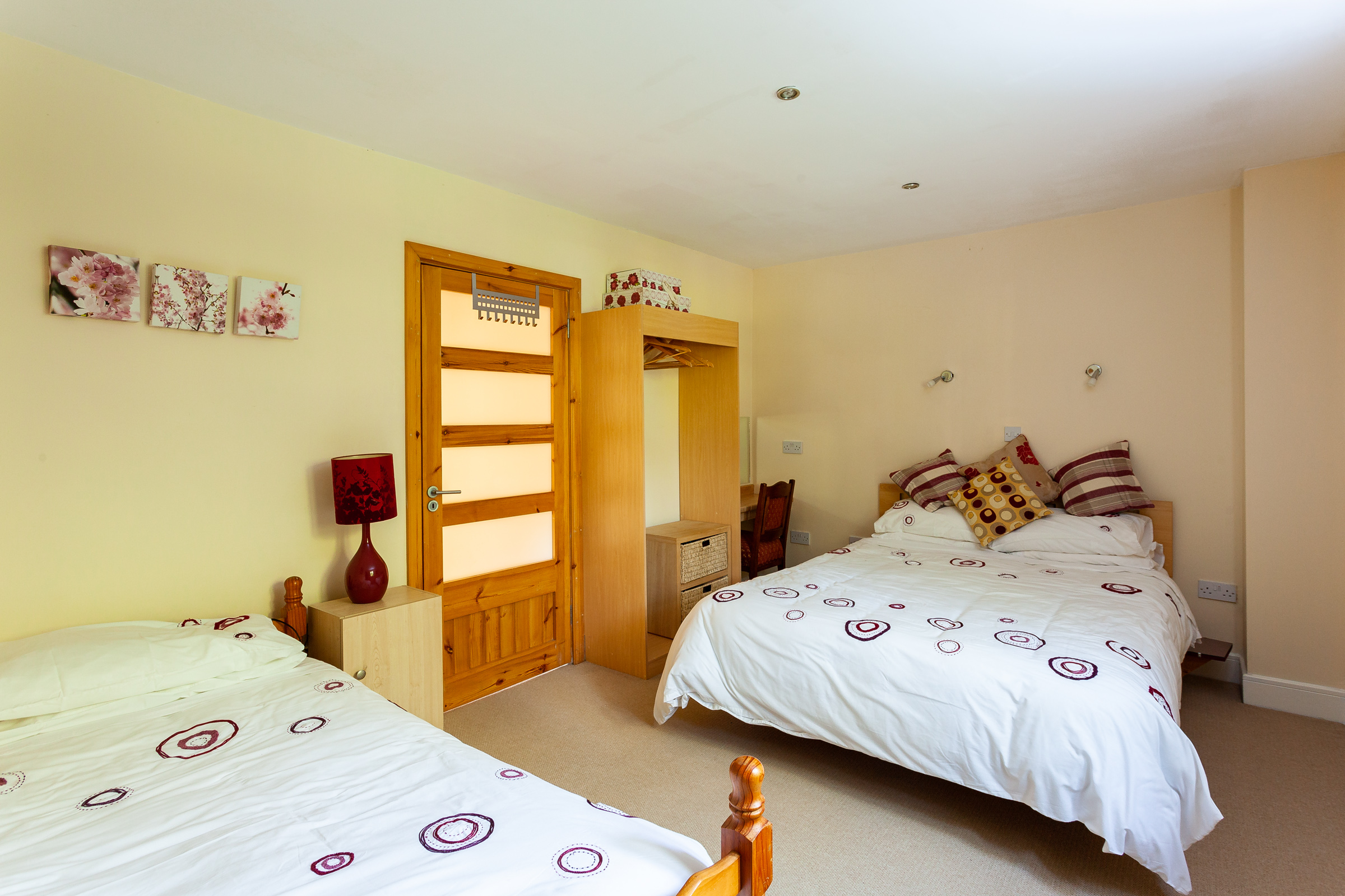 Photo: Niamh Whitty/www.pictureitsold.ie