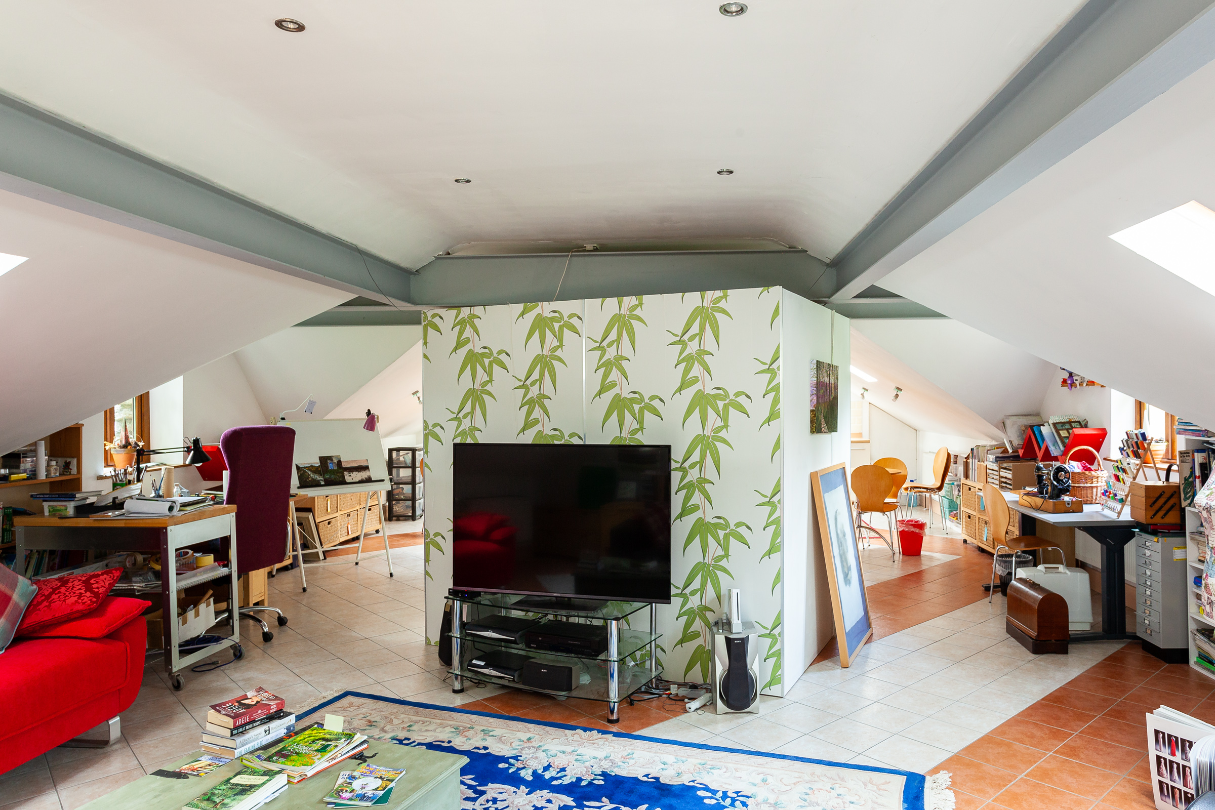 Photo: Niamh Whitty/www.pictureitsold.ie