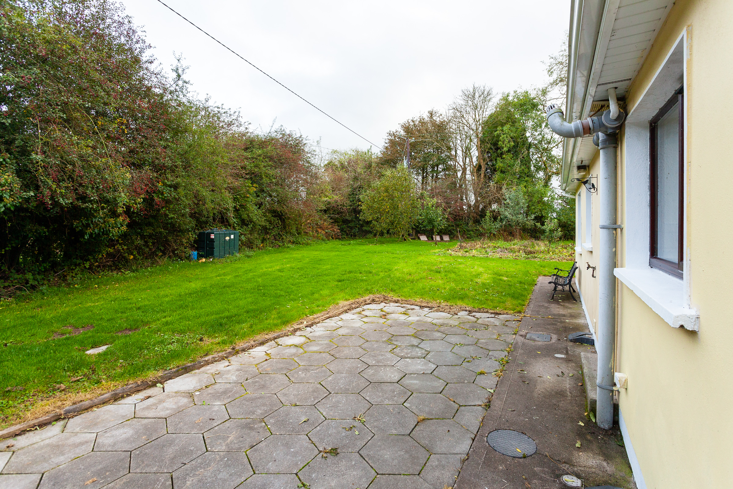 Photo: Niamh Whitty/www.pictureitsold.ie