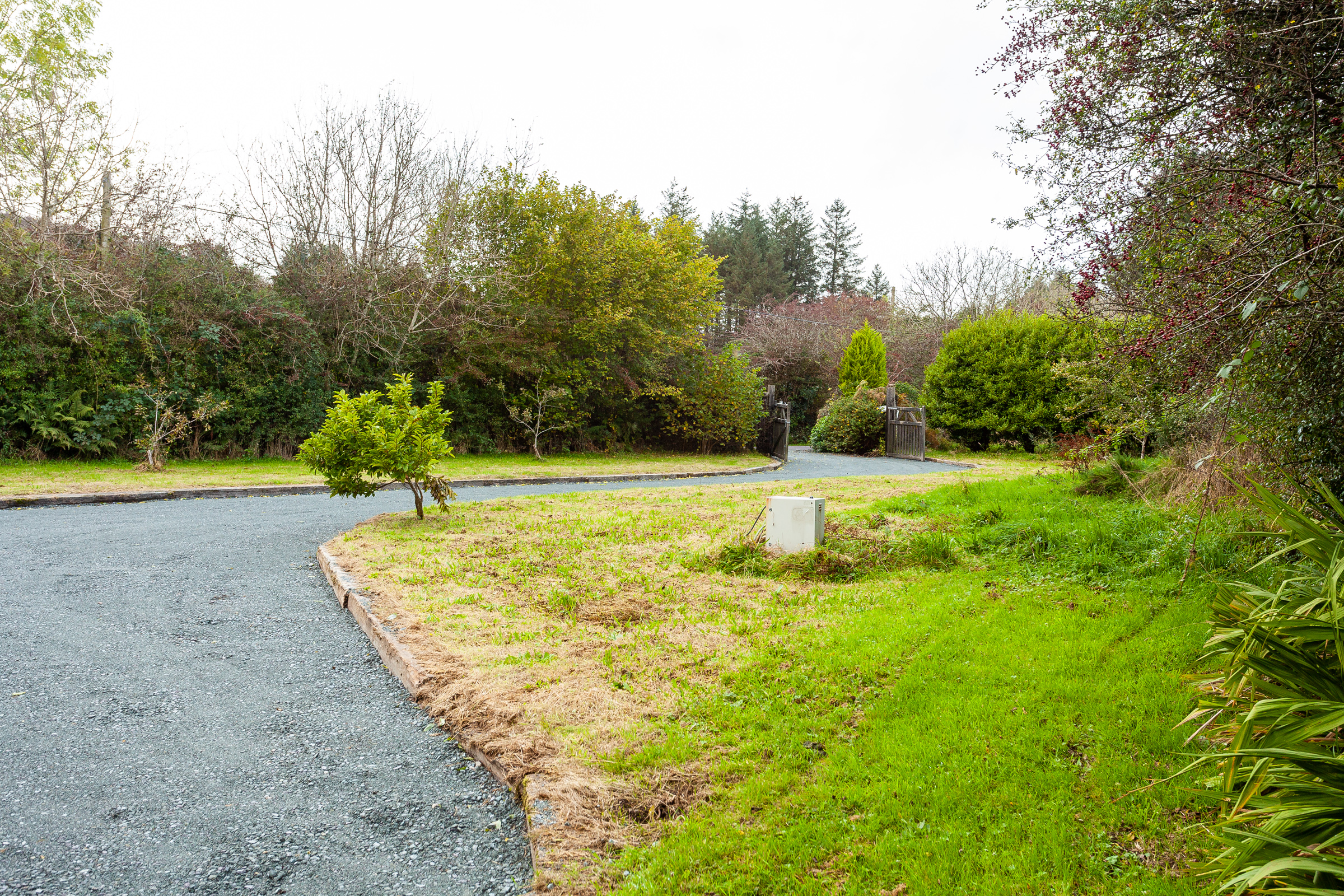 Photo: Niamh Whitty/www.pictureitsold.ie