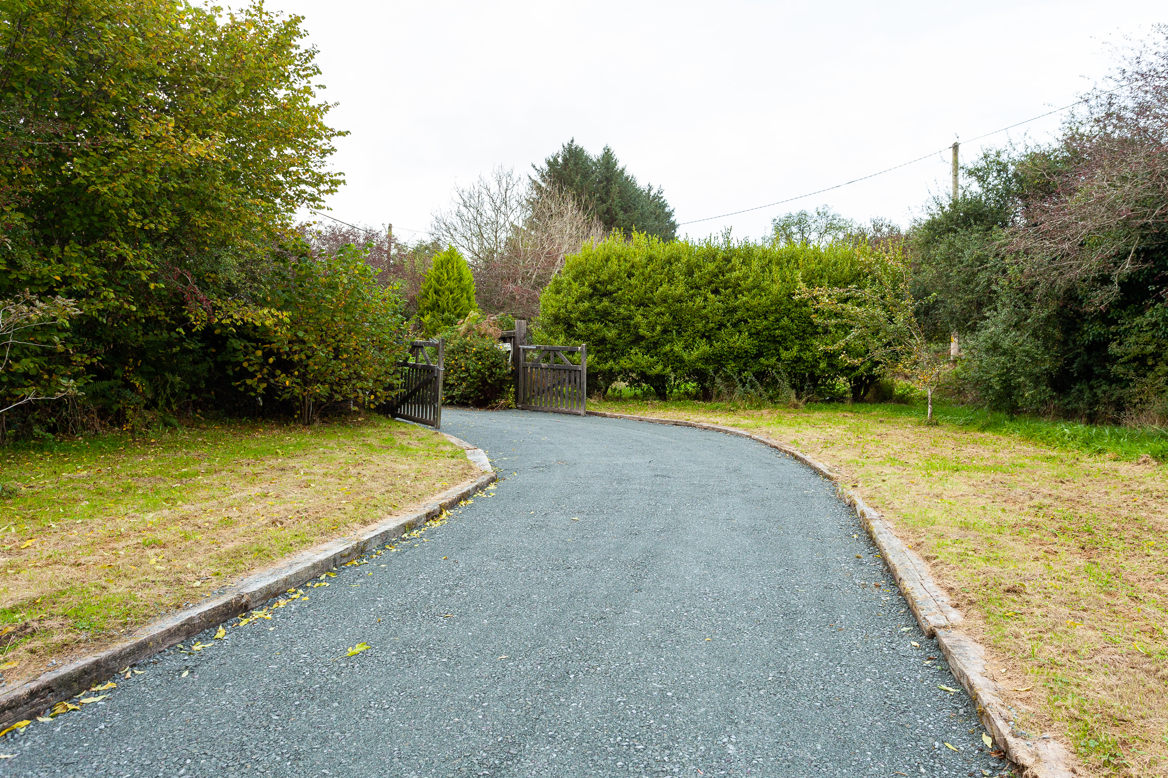 Photo: Niamh Whitty/www.pictureitsold.ie